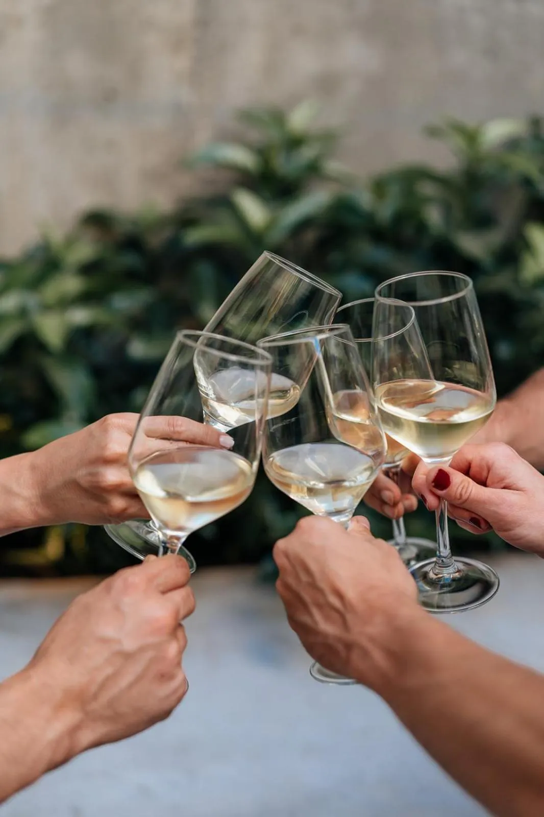 Drinks in Hotel Santa Ana Tudela