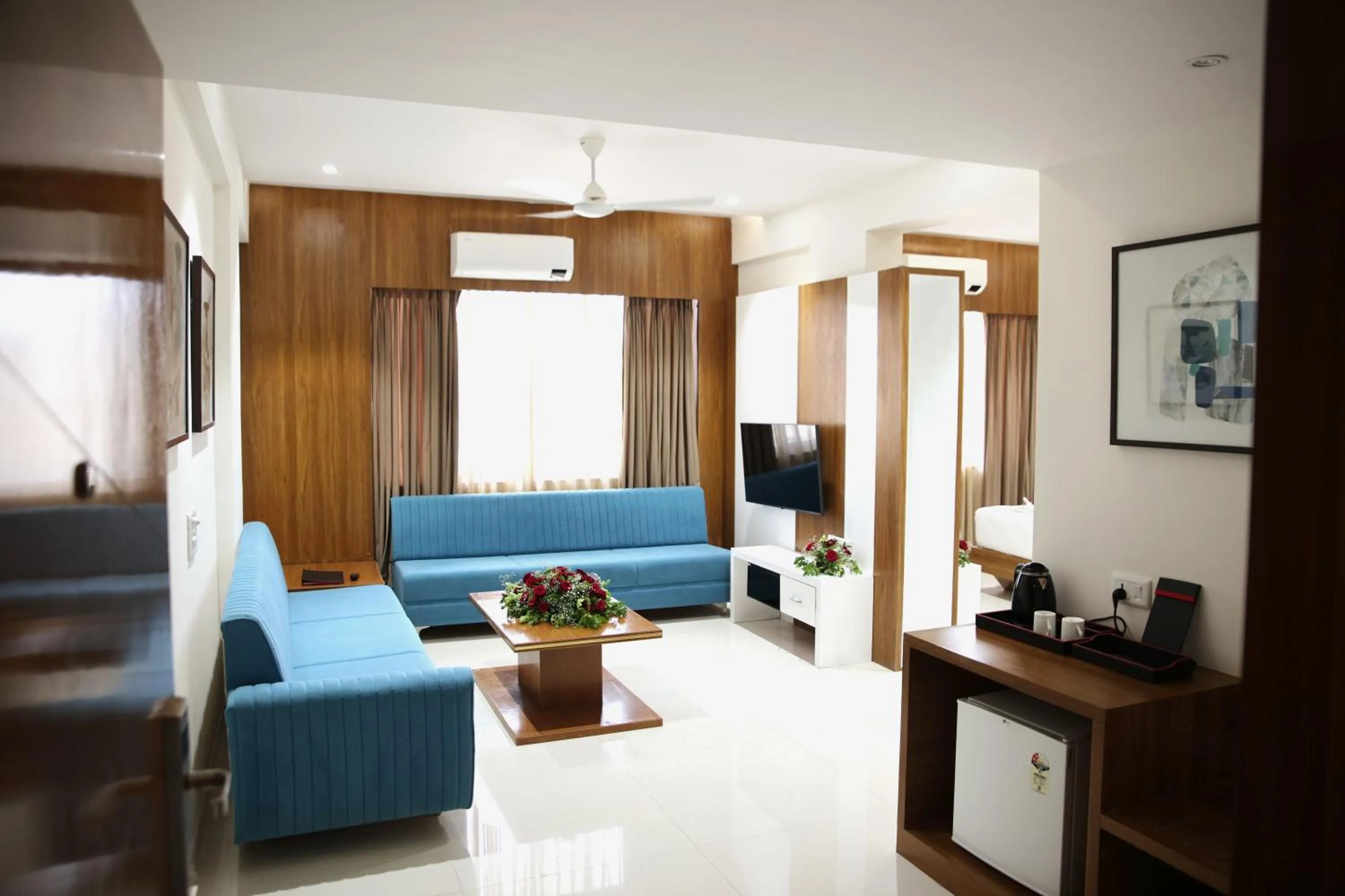 TV and multimedia in Lords Eco Inn, Ambaji