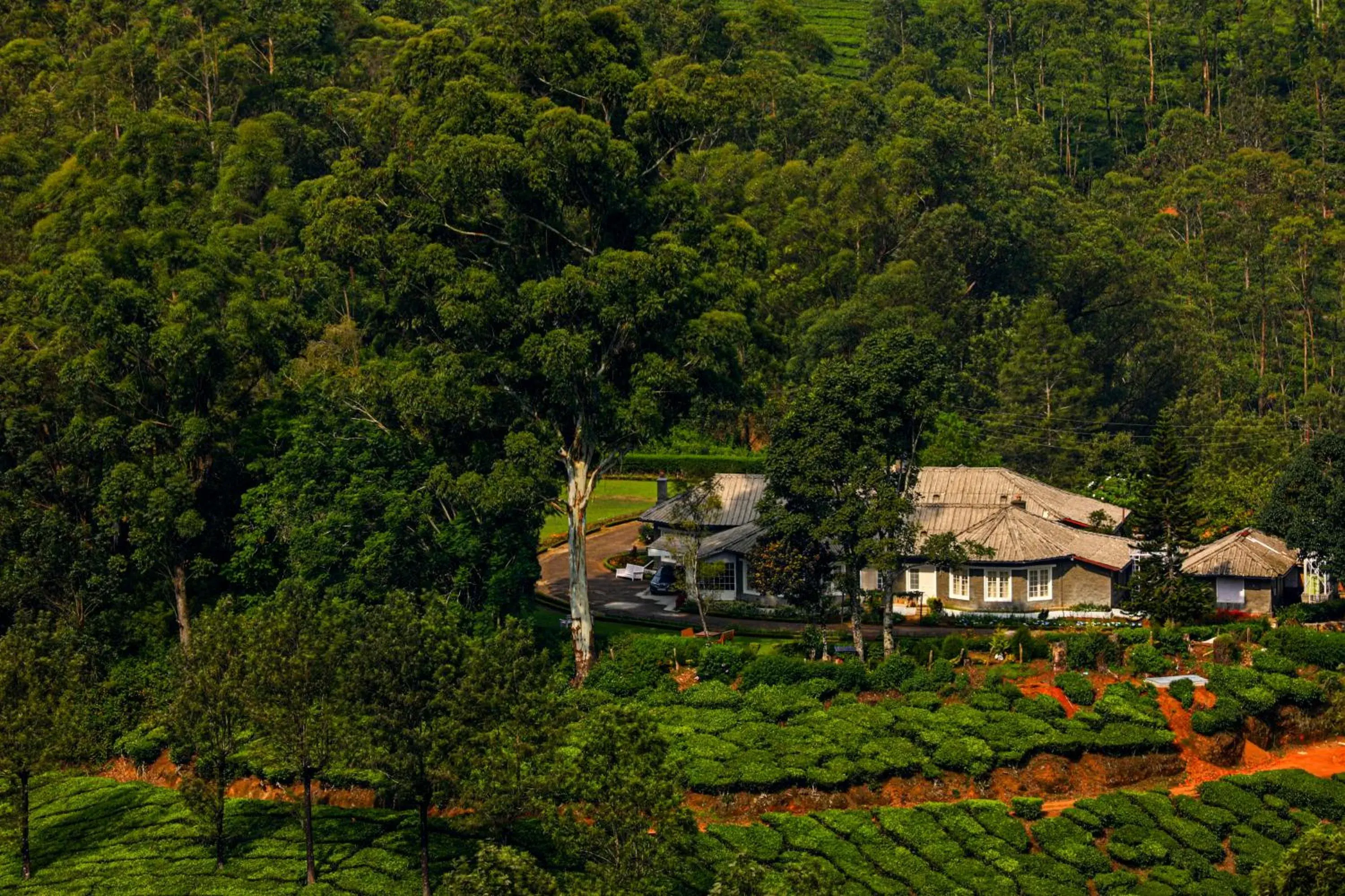 Lockhart Bungalow Munnar - A CGH Earth SAHA Experience Lockhart Bungalow Munnar - A CGH Earth SAHA Experience