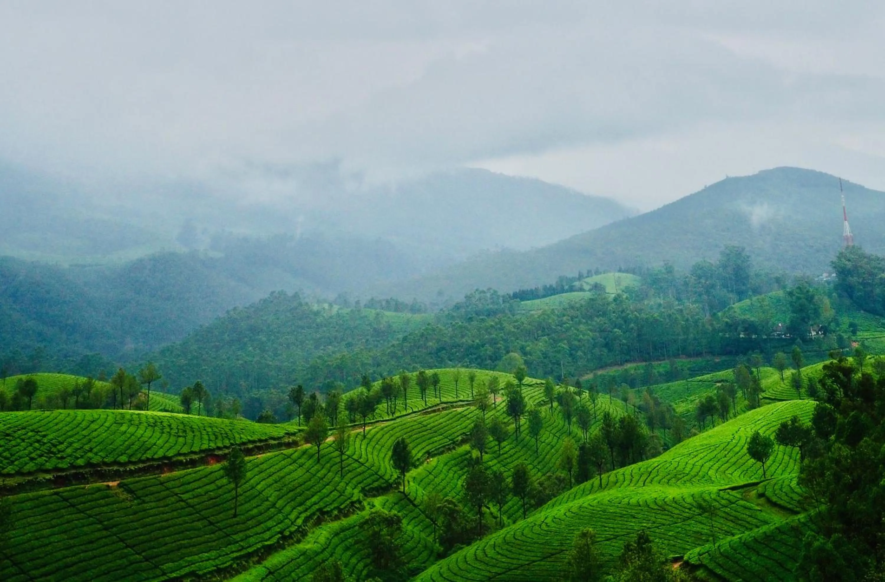 Natural landscape in Lockhart Bungalow Munnar - A CGH Earth SAHA Experience