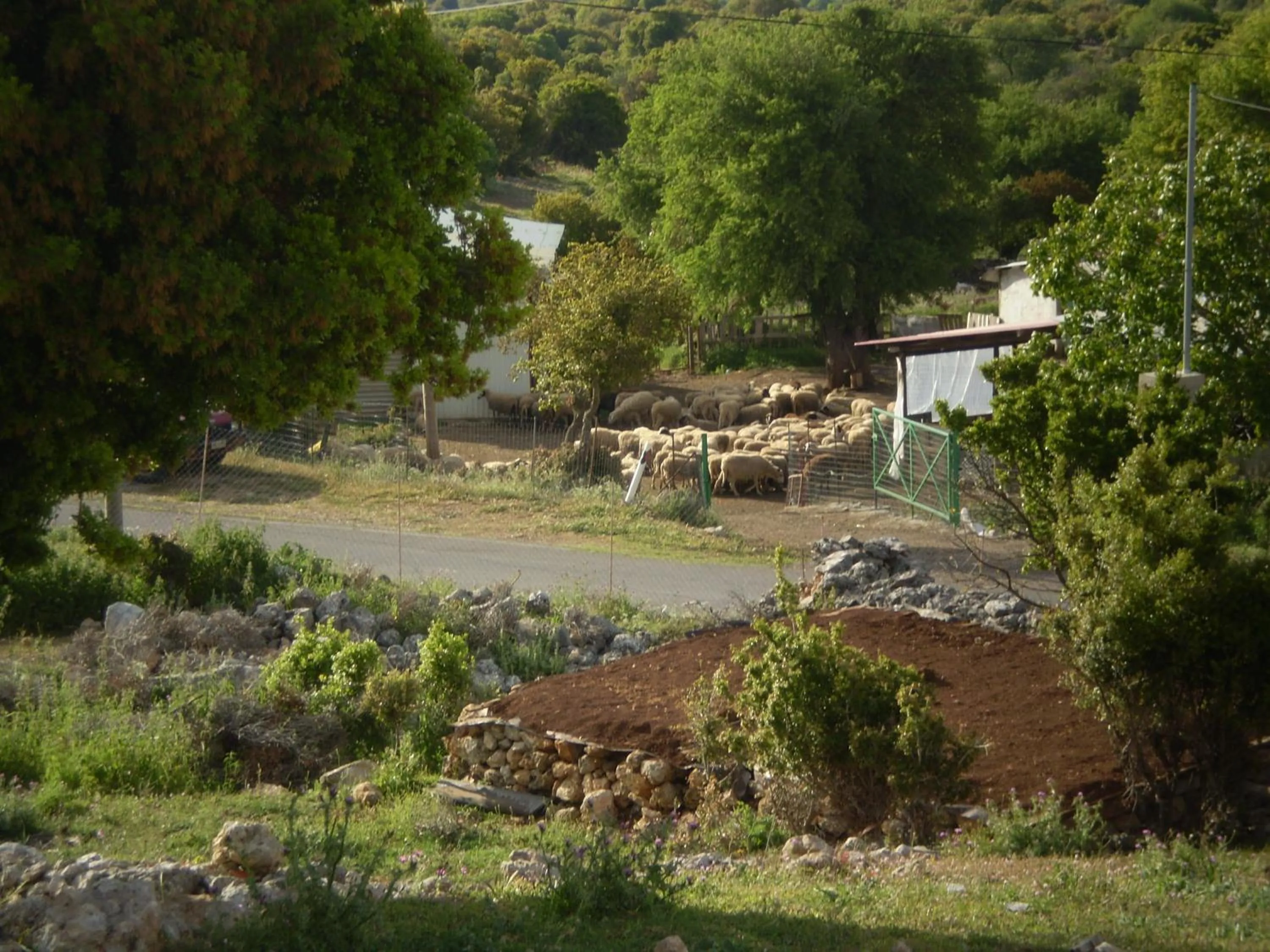 Area and facilities in Arachovitika Kalivia