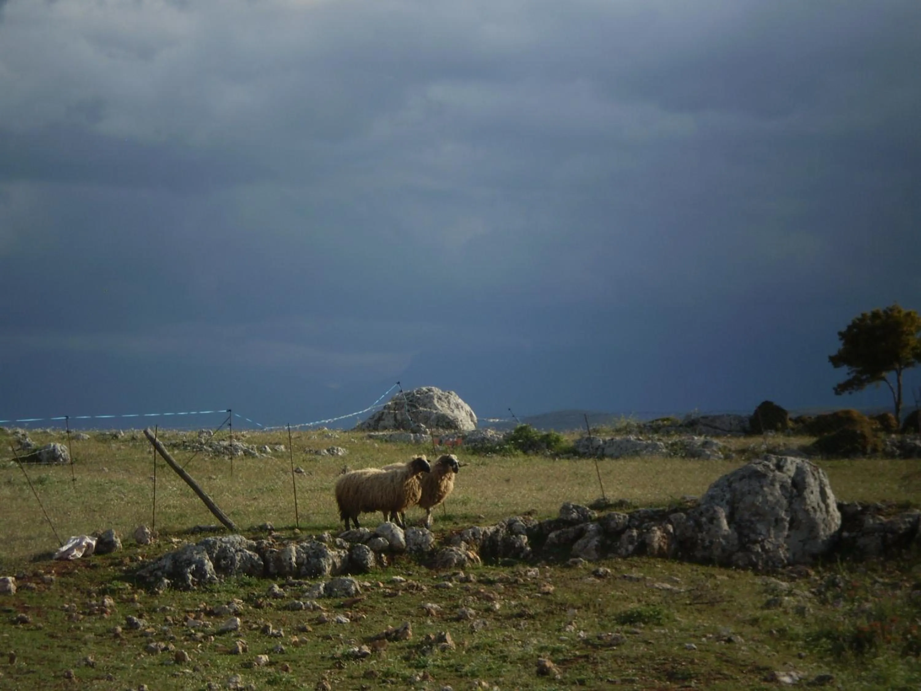 View (from property/room) in Arachovitika Kalivia
