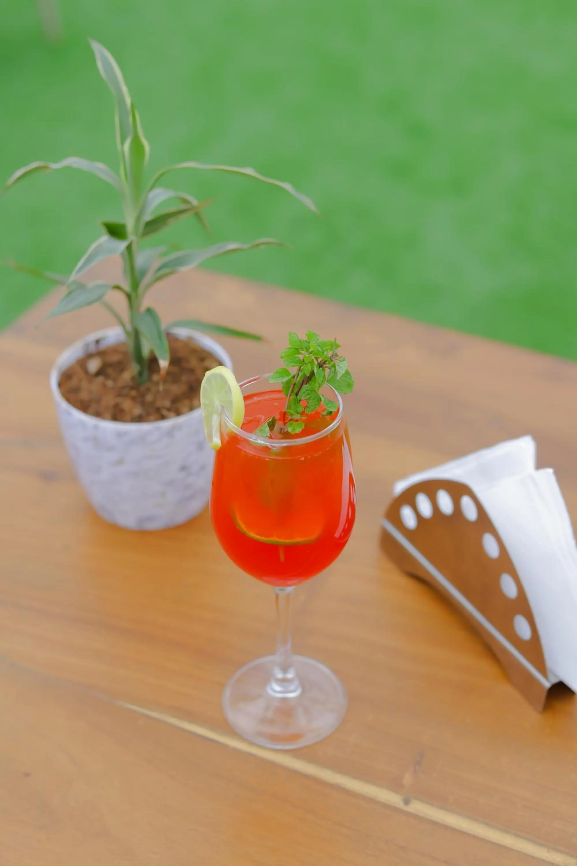 Lounge or bar in Hotel Royal Accord