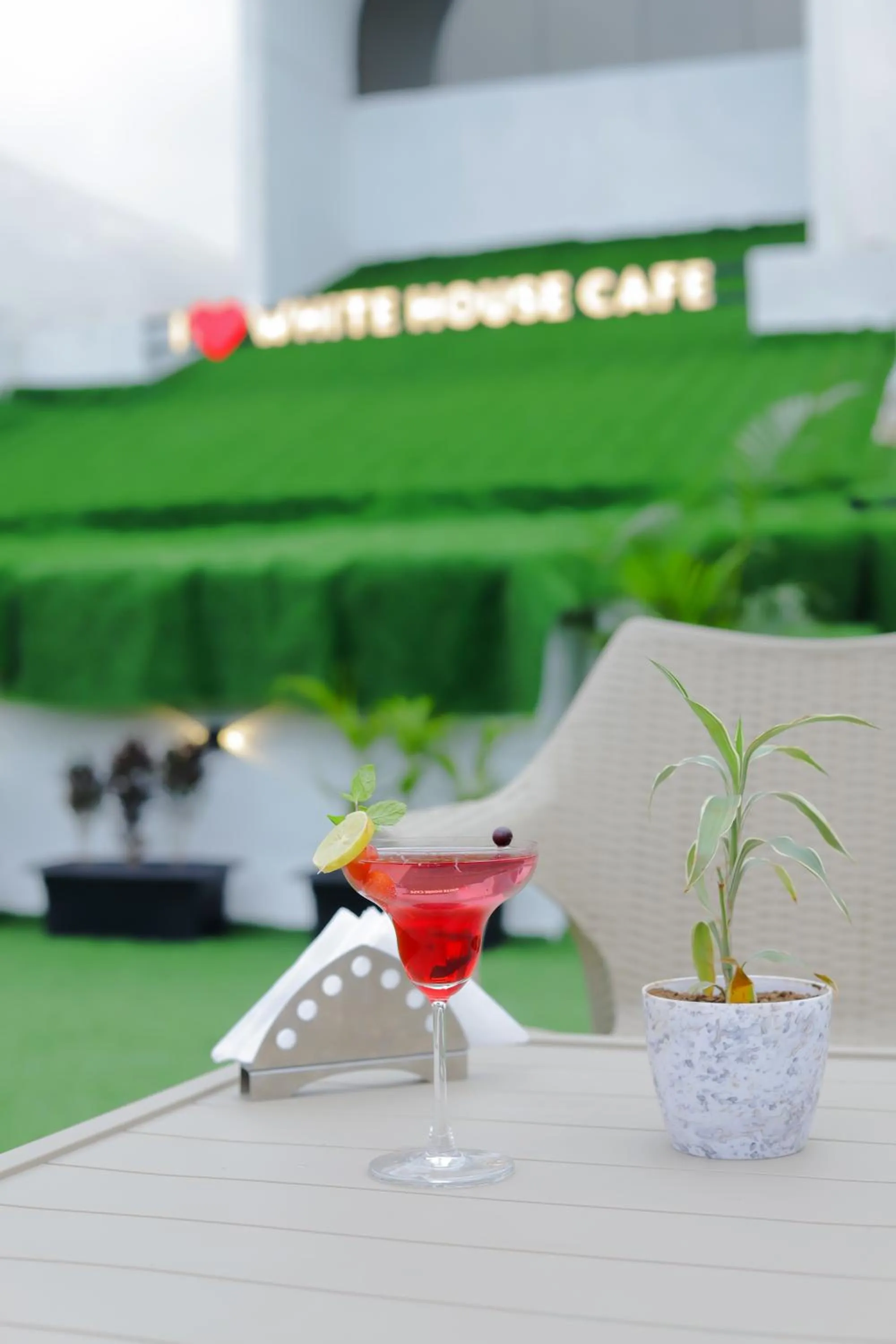 Lounge or bar in Hotel Royal Accord