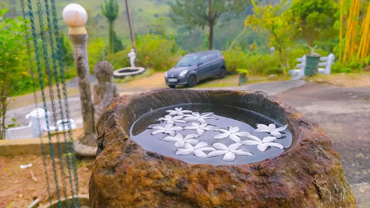 Garden in Lassana Holiday Bungalow