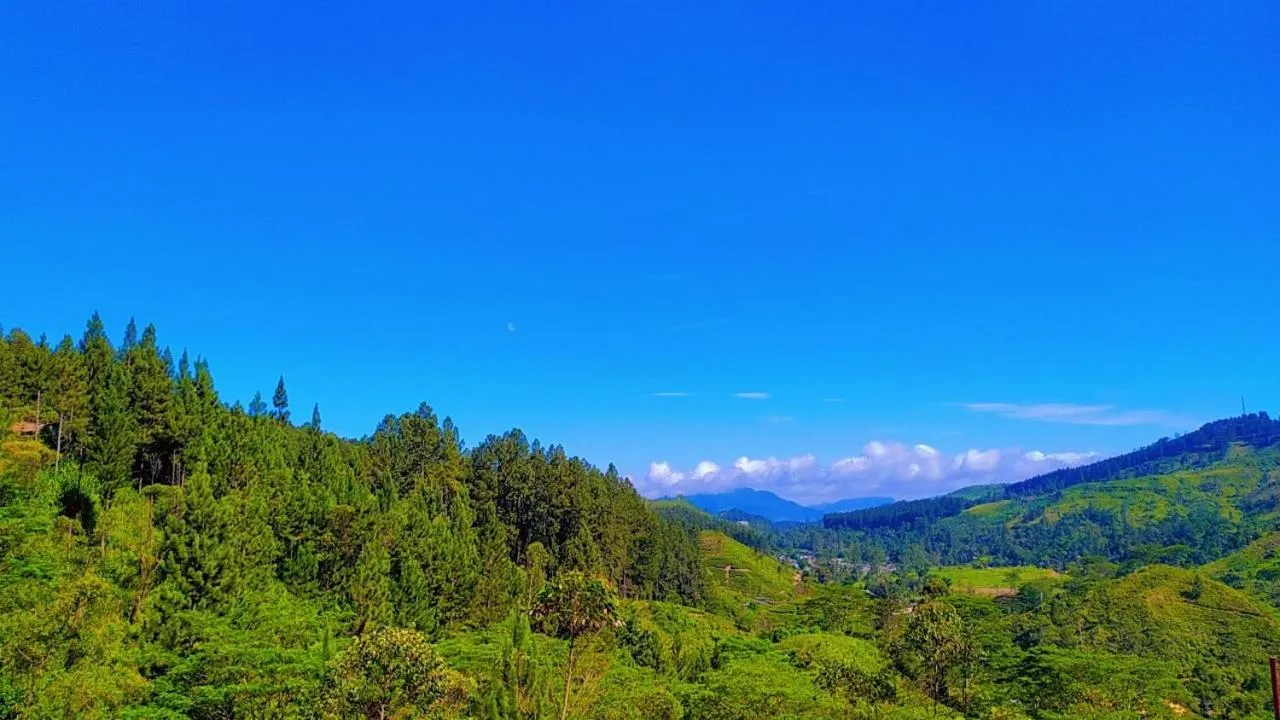 Lassana Holiday Bungalow