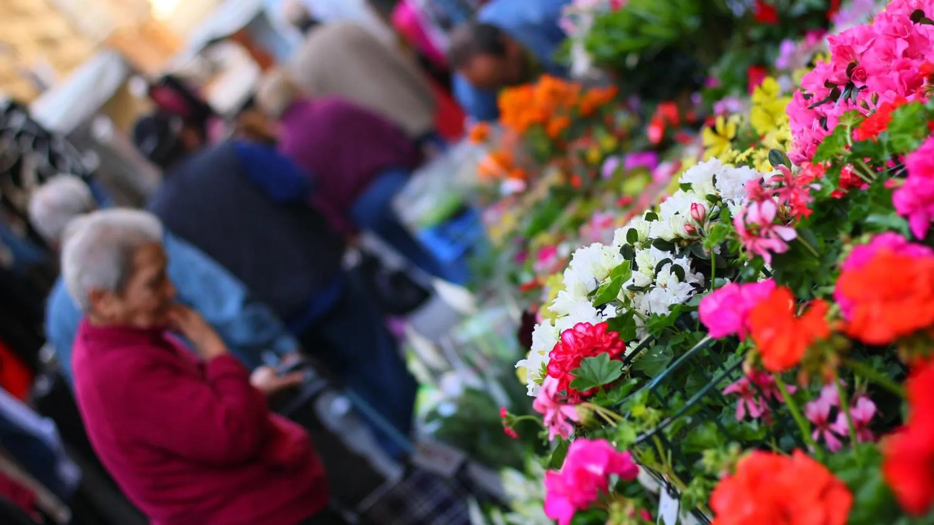 Decorative detail in Bed & Breakfast La Rosa dei Venti