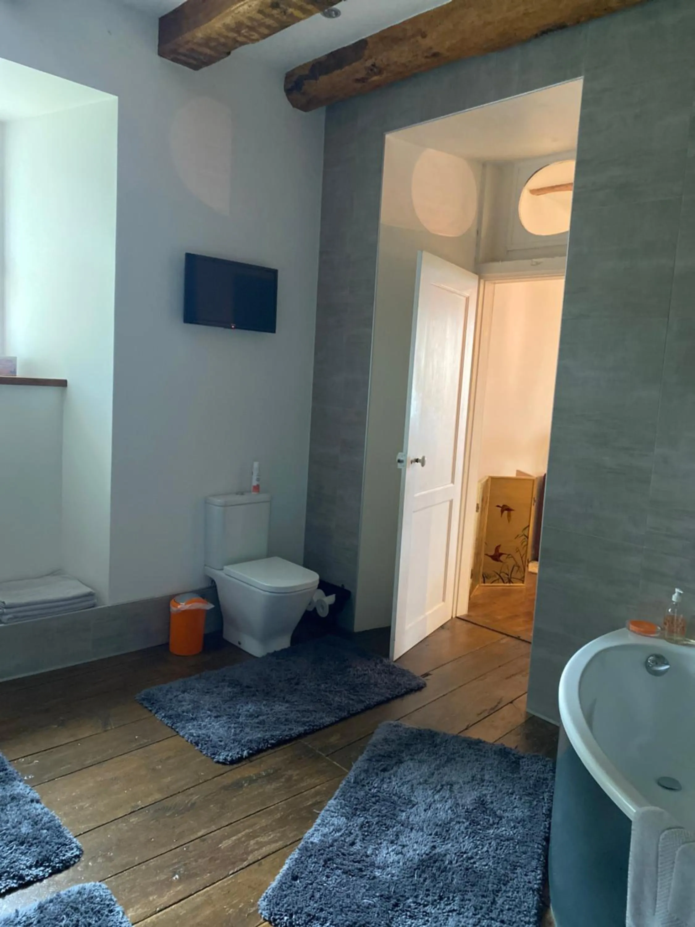 Toilet in Château du Puech