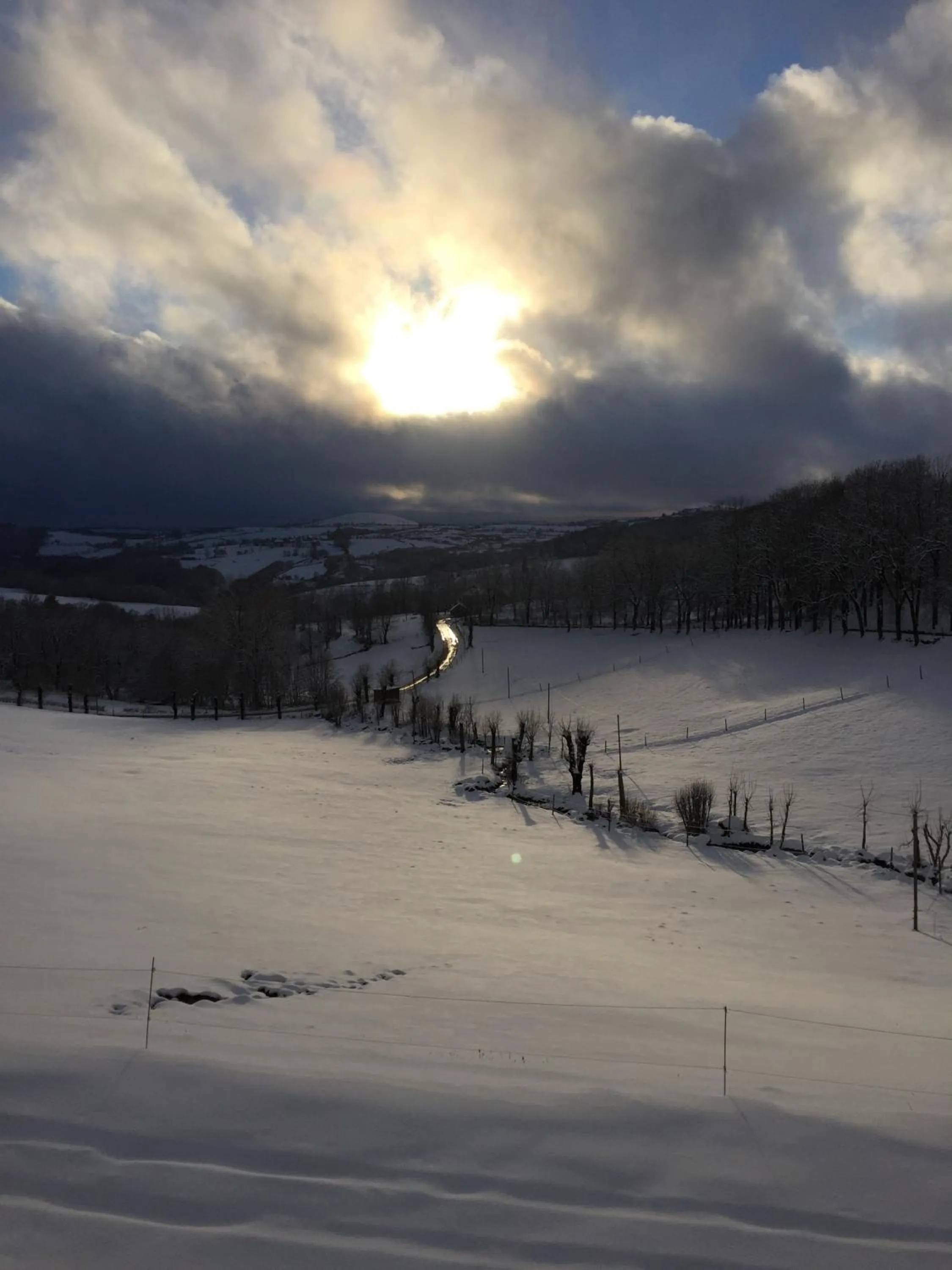 Garden view in Château du Puech