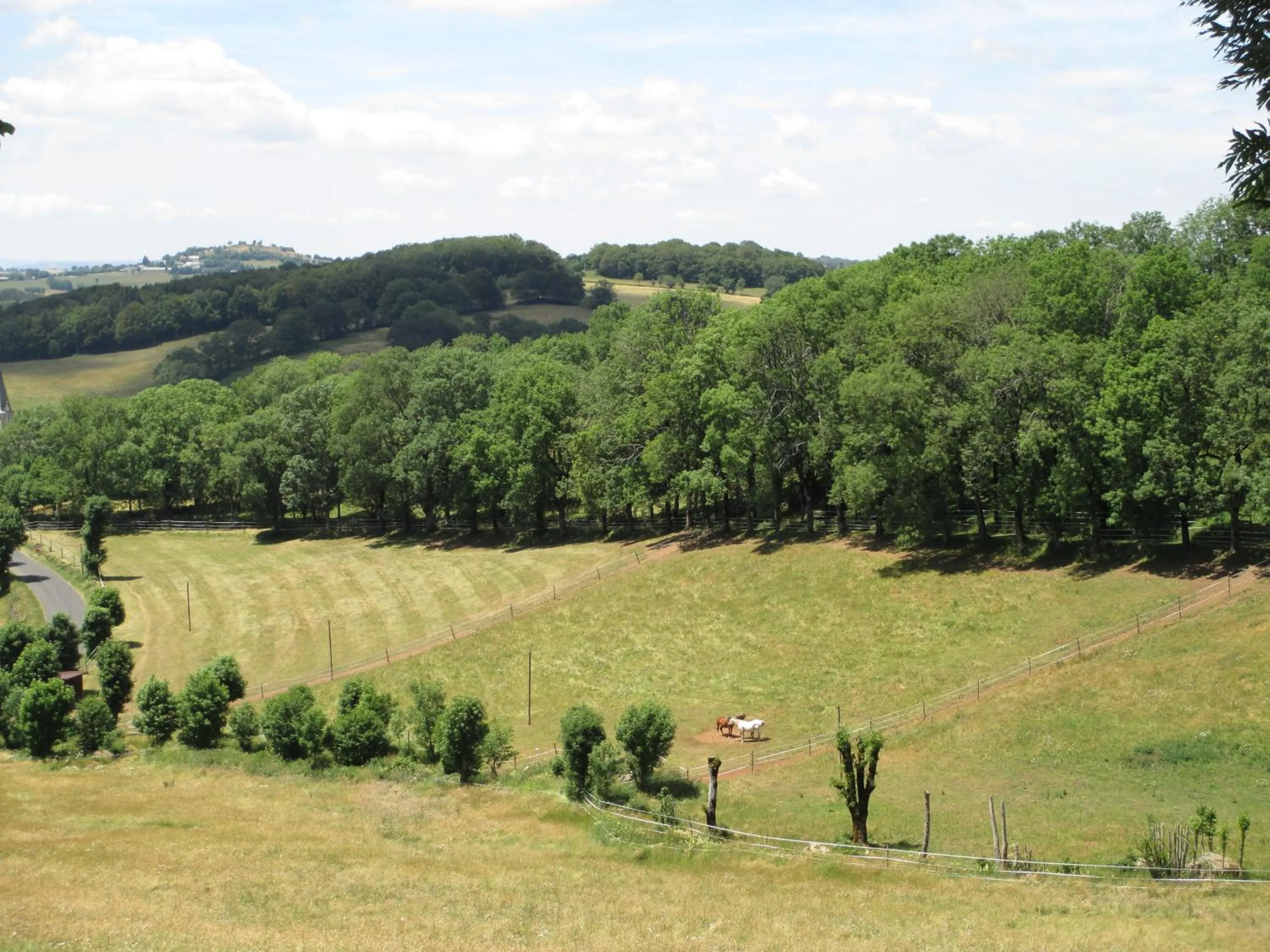 View (from property/room) in Château du Puech