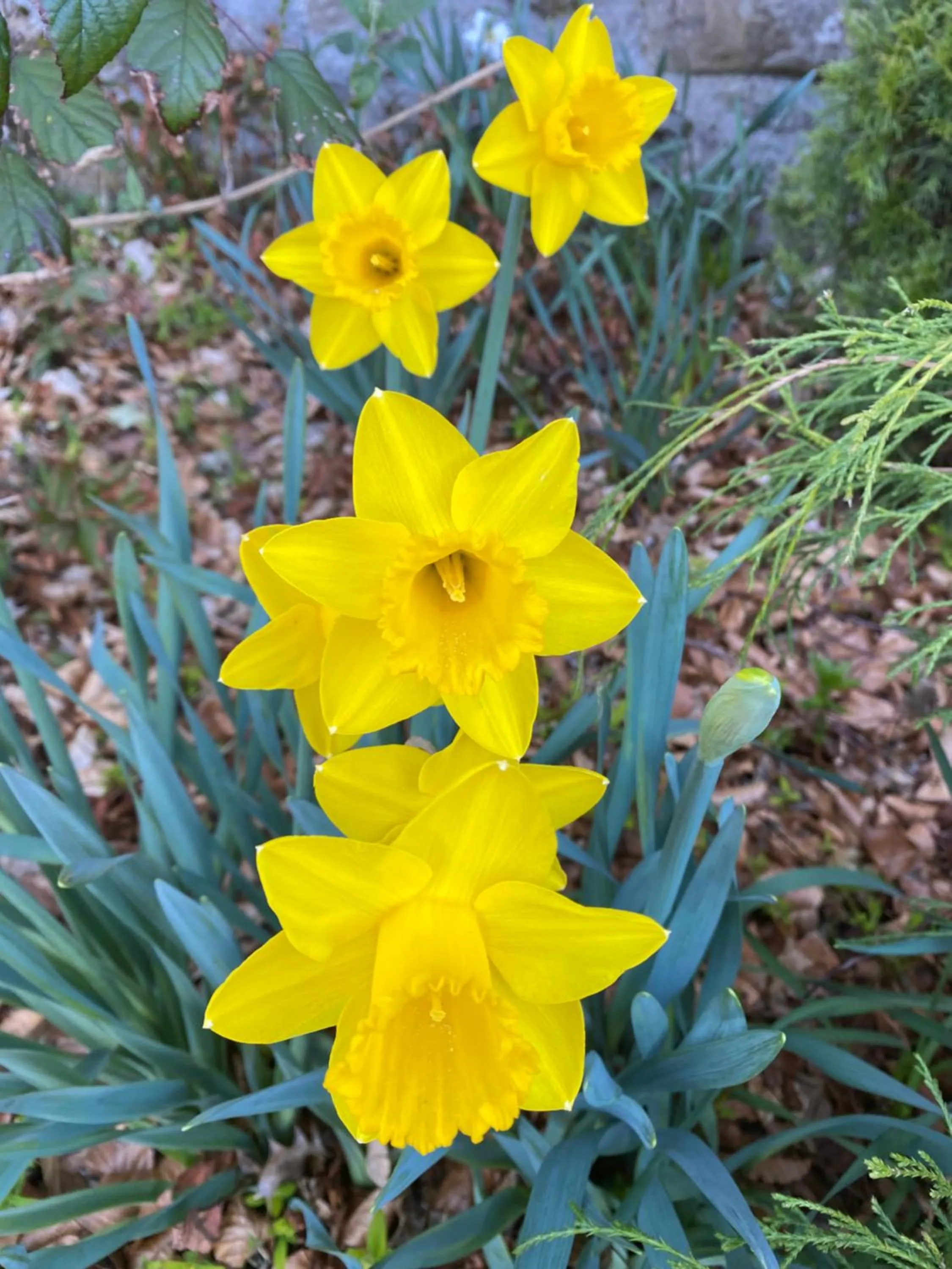 Château du Puech en Aubrac