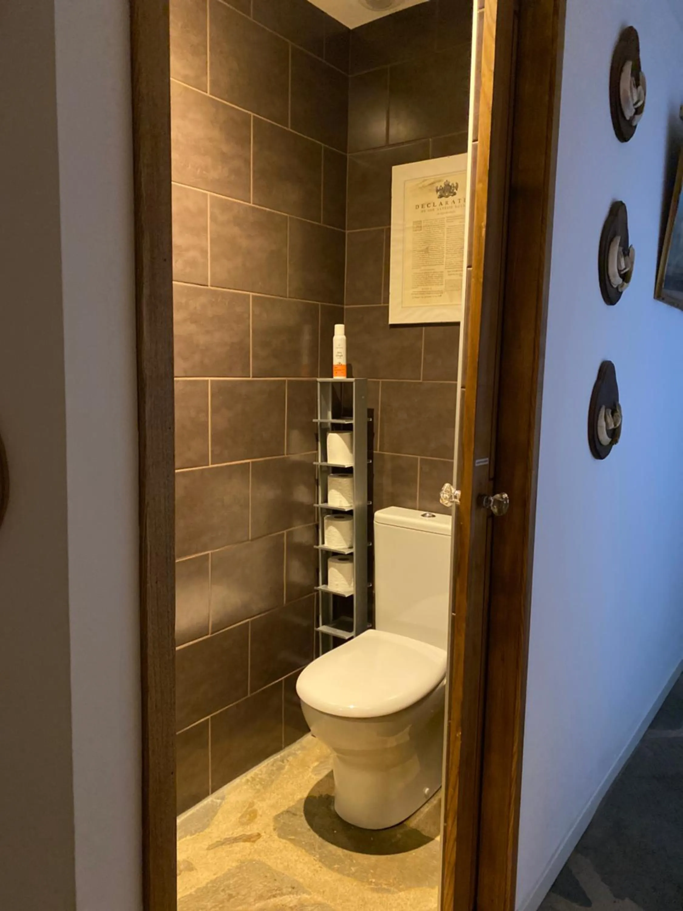 Toilet in Château du Puech