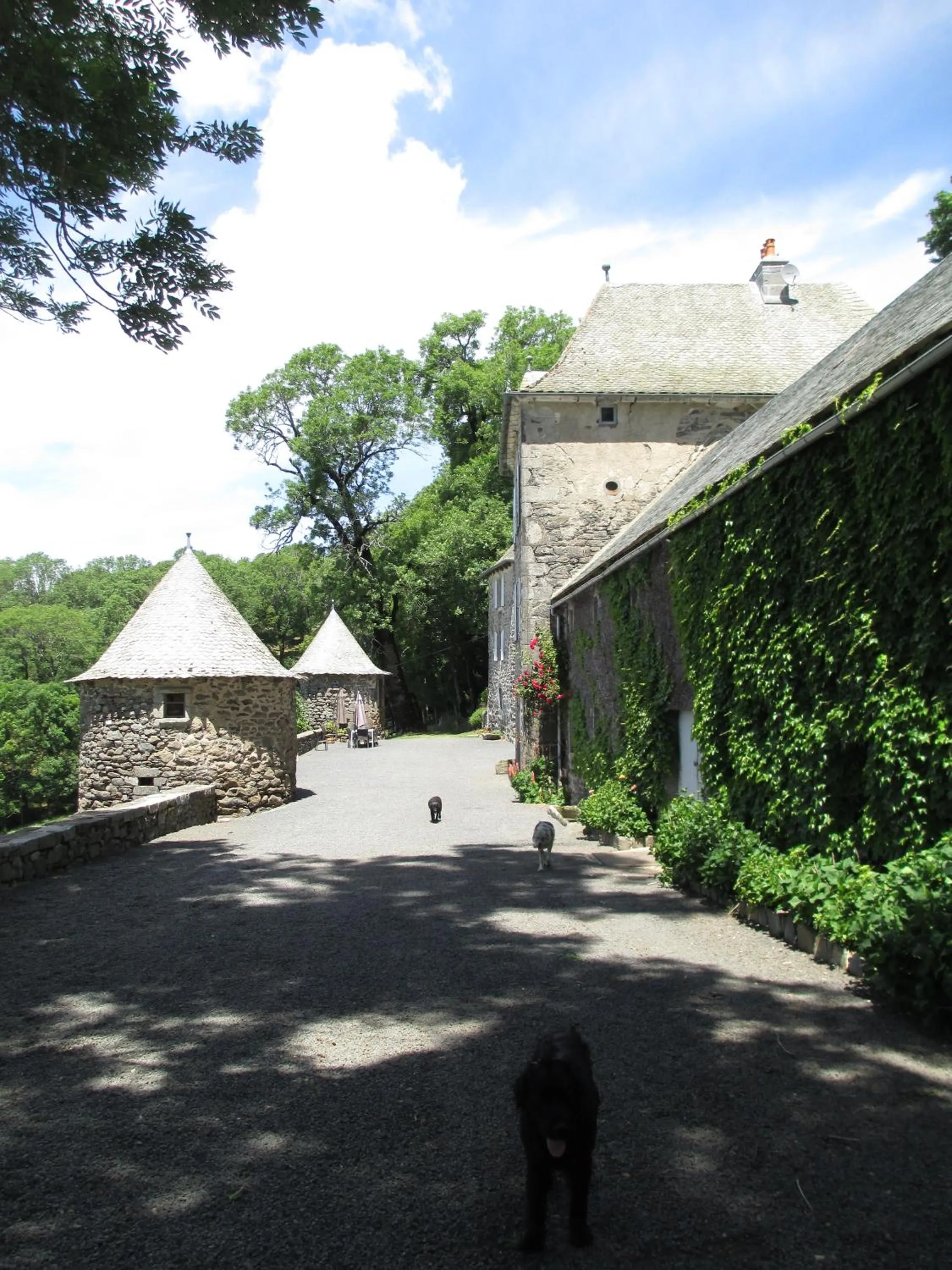Facade/entrance in Château du Puech