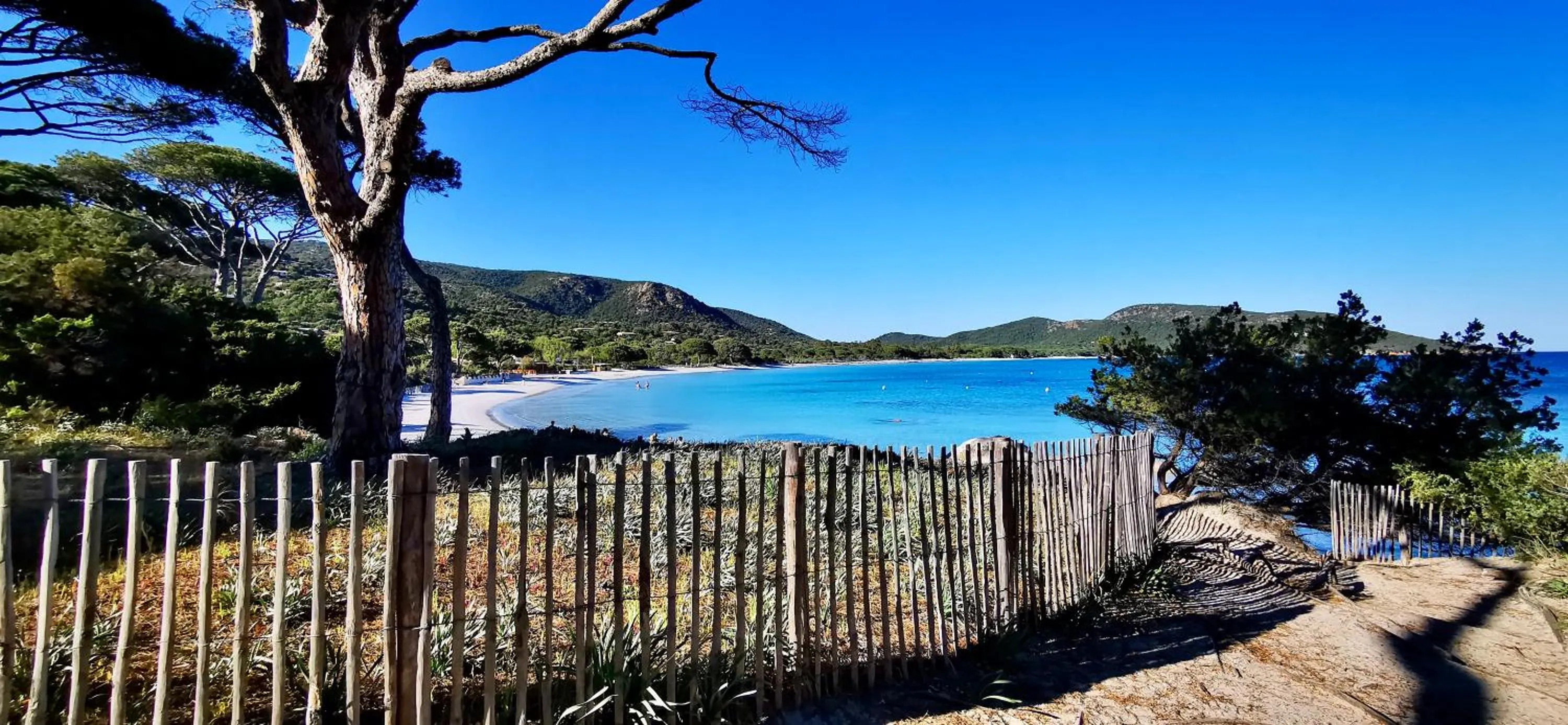 Natural landscape in Résidence Belvedere de Palombaggia