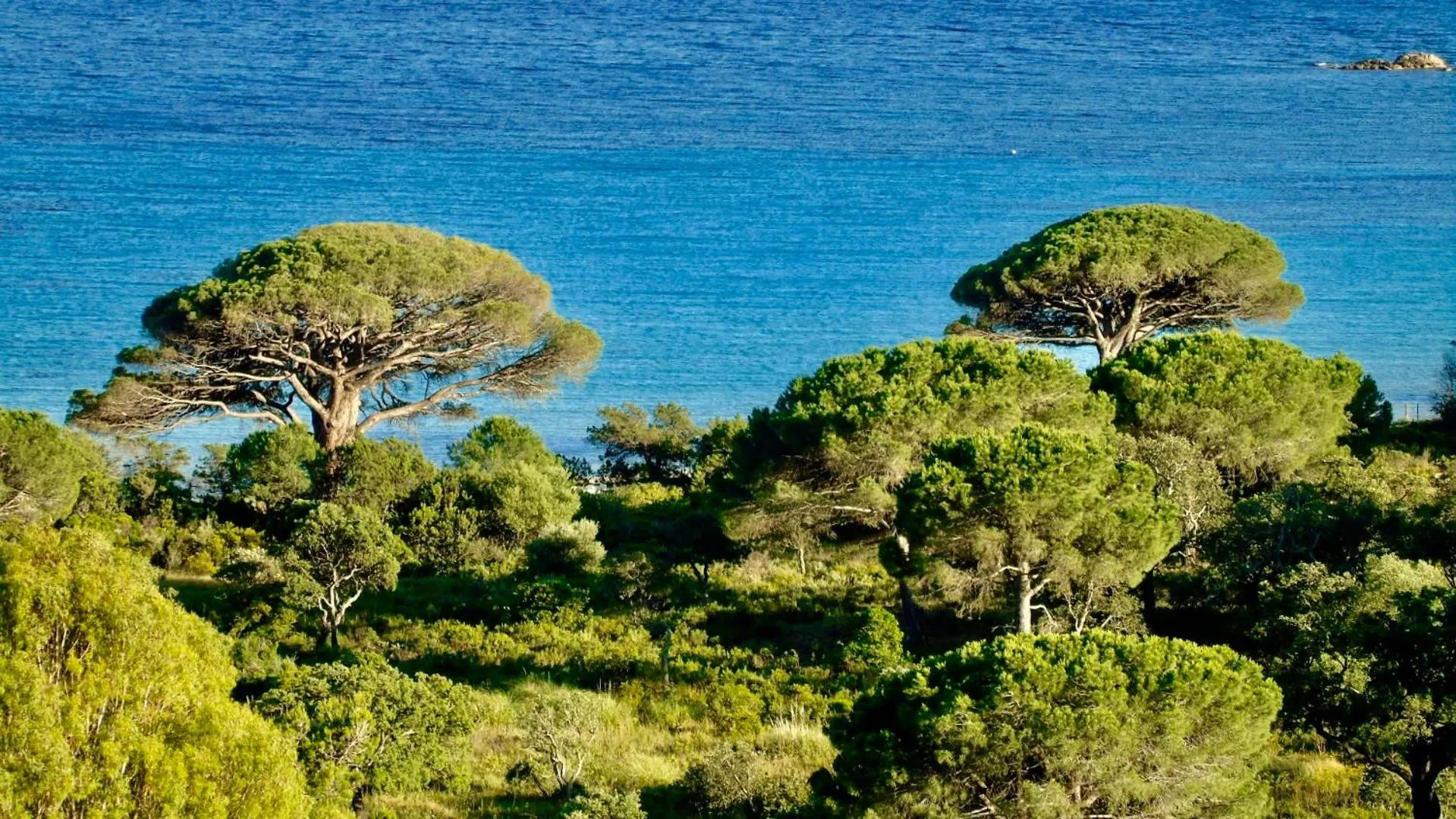Nearby landmark in Résidence Belvedere de Palombaggia