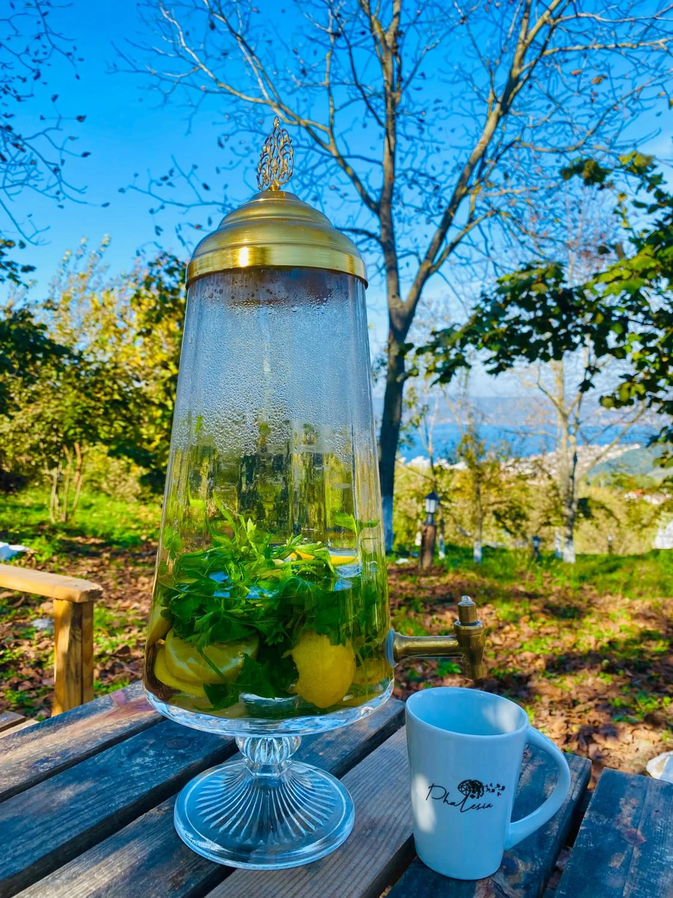 Phalesia Glamping Otel