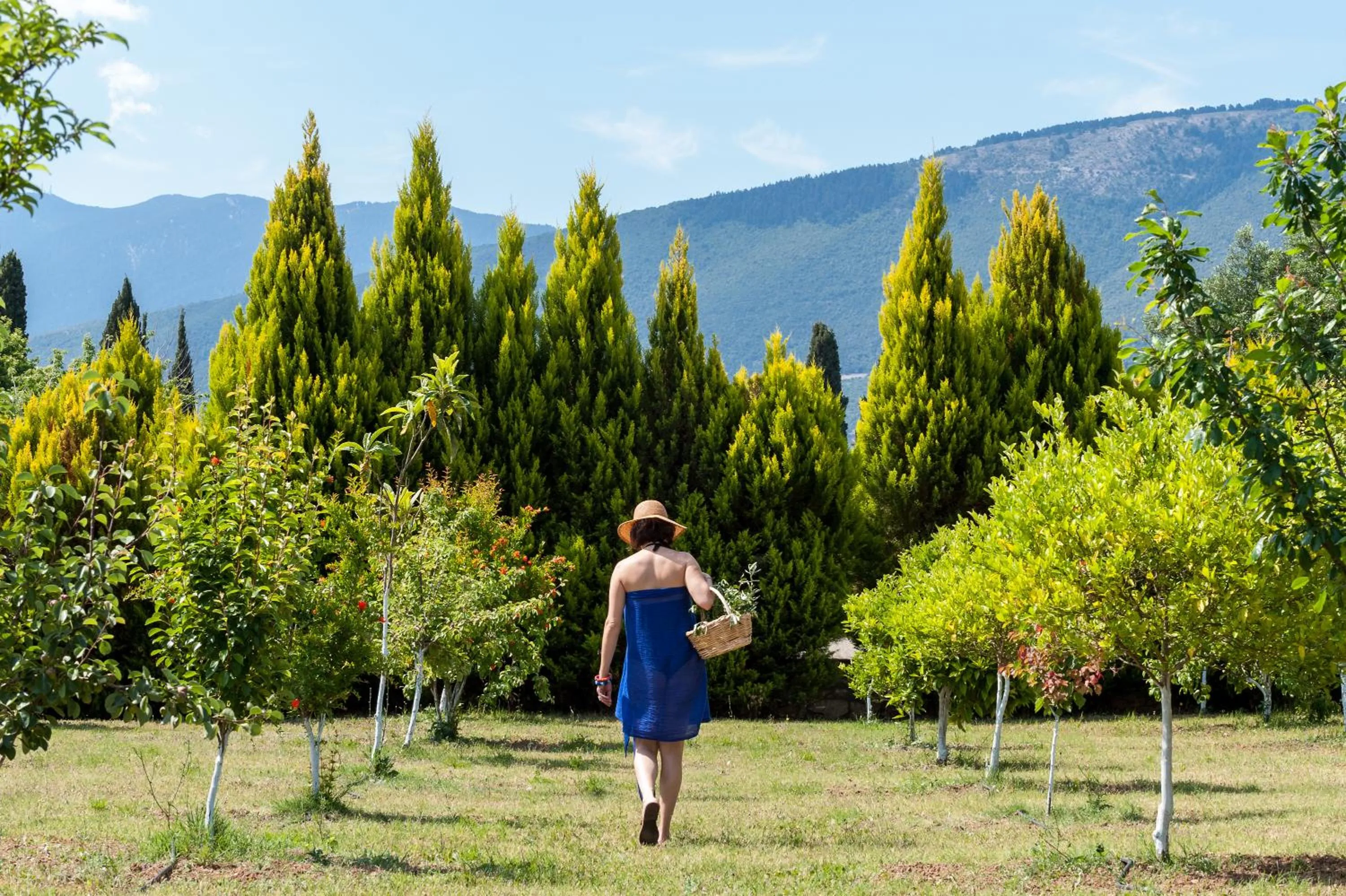 Property building in Penelope Villas