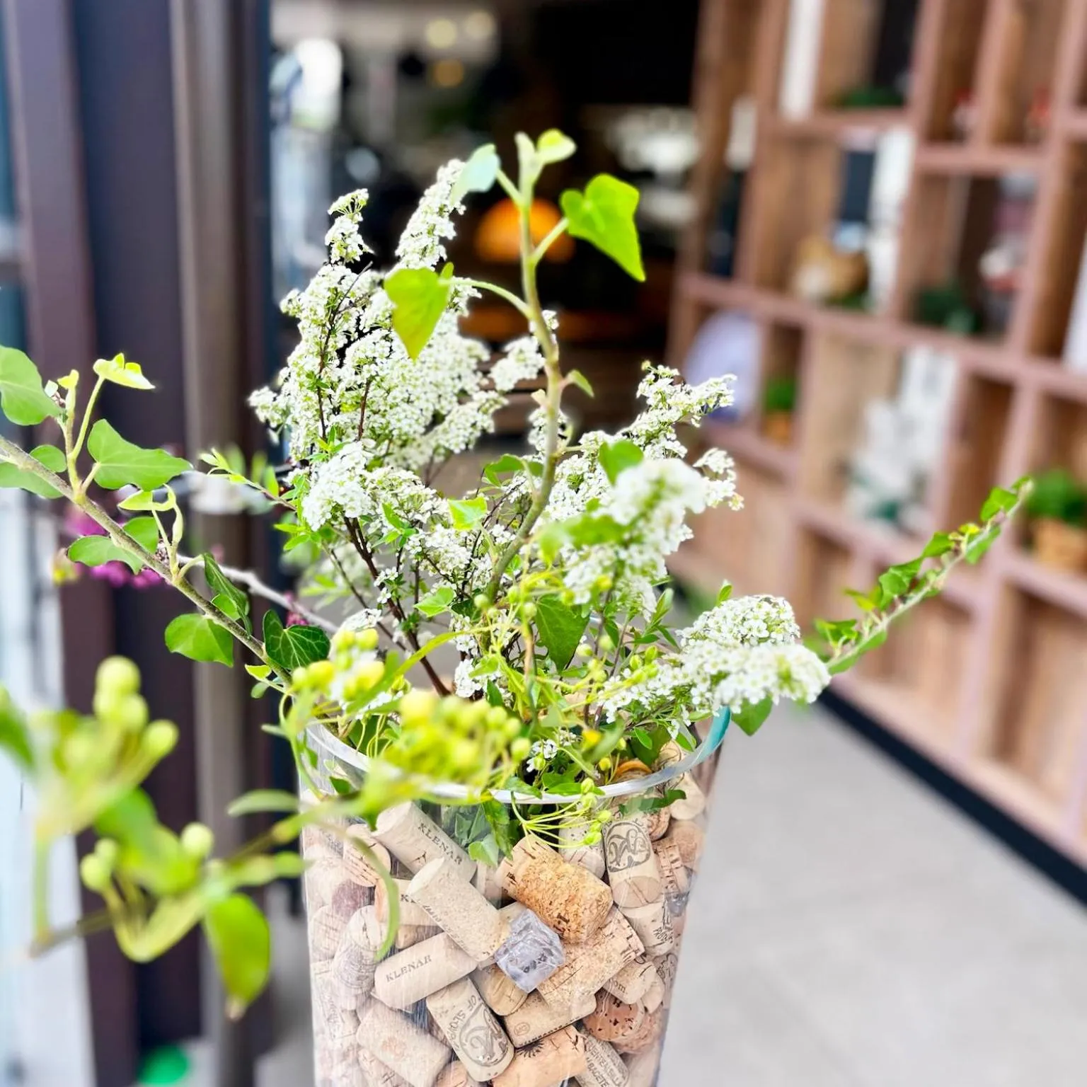 Area and facilities in VENEZIANA Boutique Hotel Superior