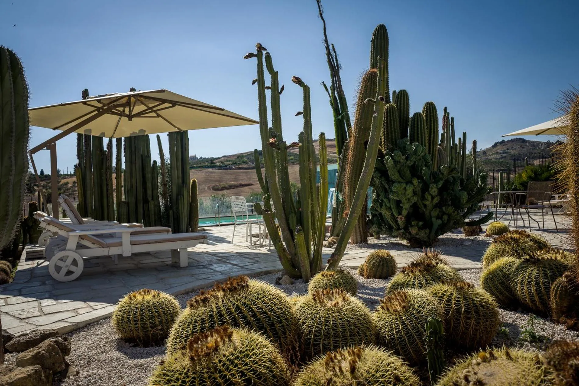 Day in Relais Garden Cactus B&B