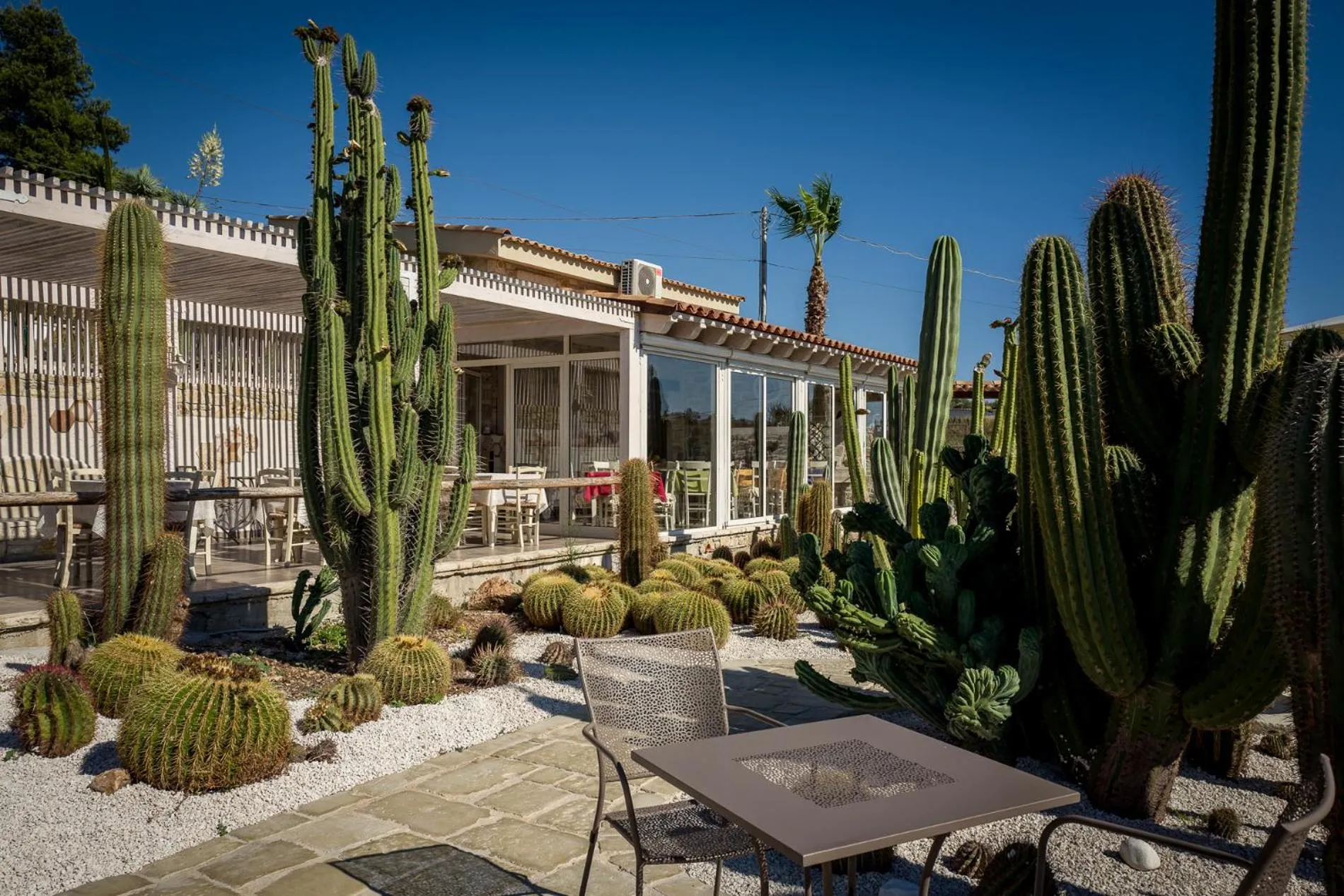 Restaurant/places to eat in Relais Garden Cactus B&B