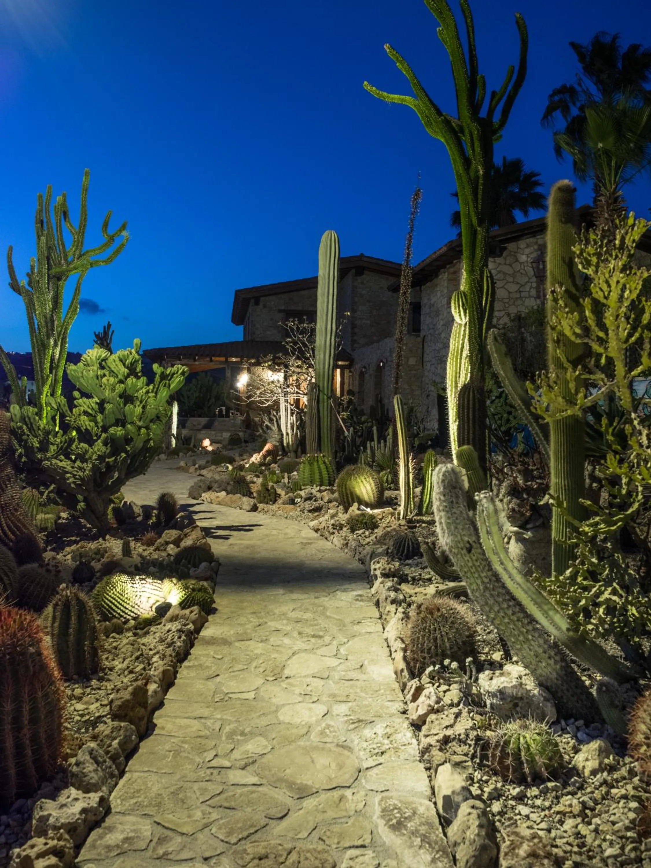 Night in Relais Garden Cactus B&B