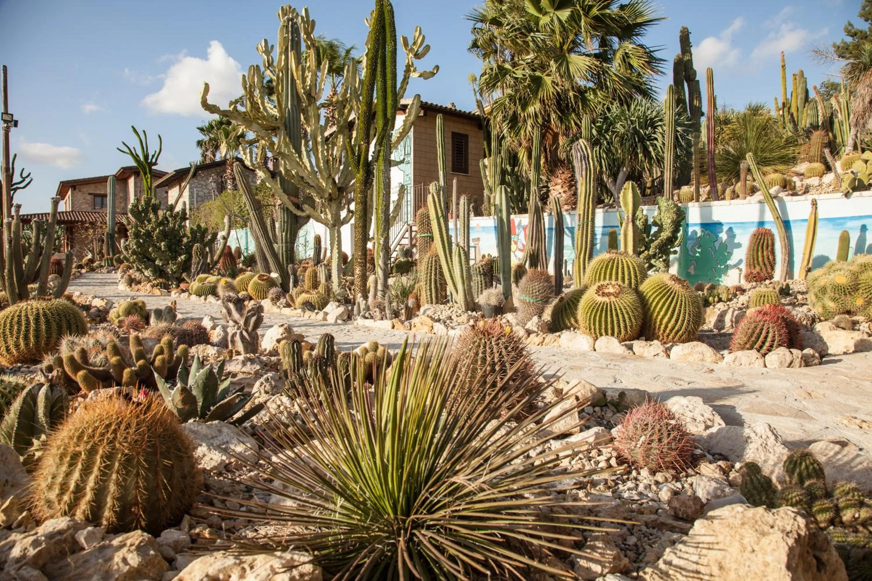 Day in Relais Garden Cactus B&B