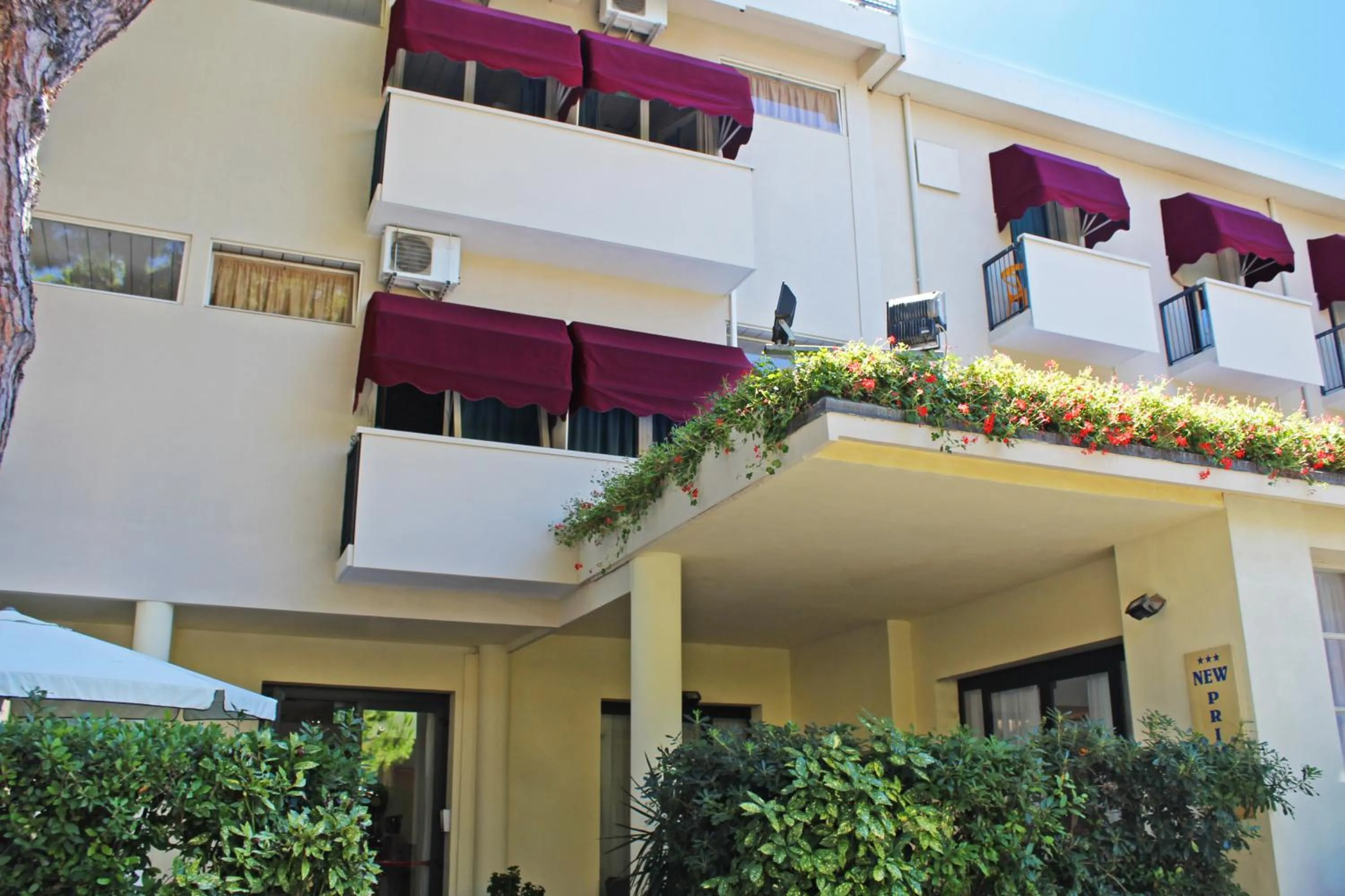 Facade/entrance in Hotel New Primula