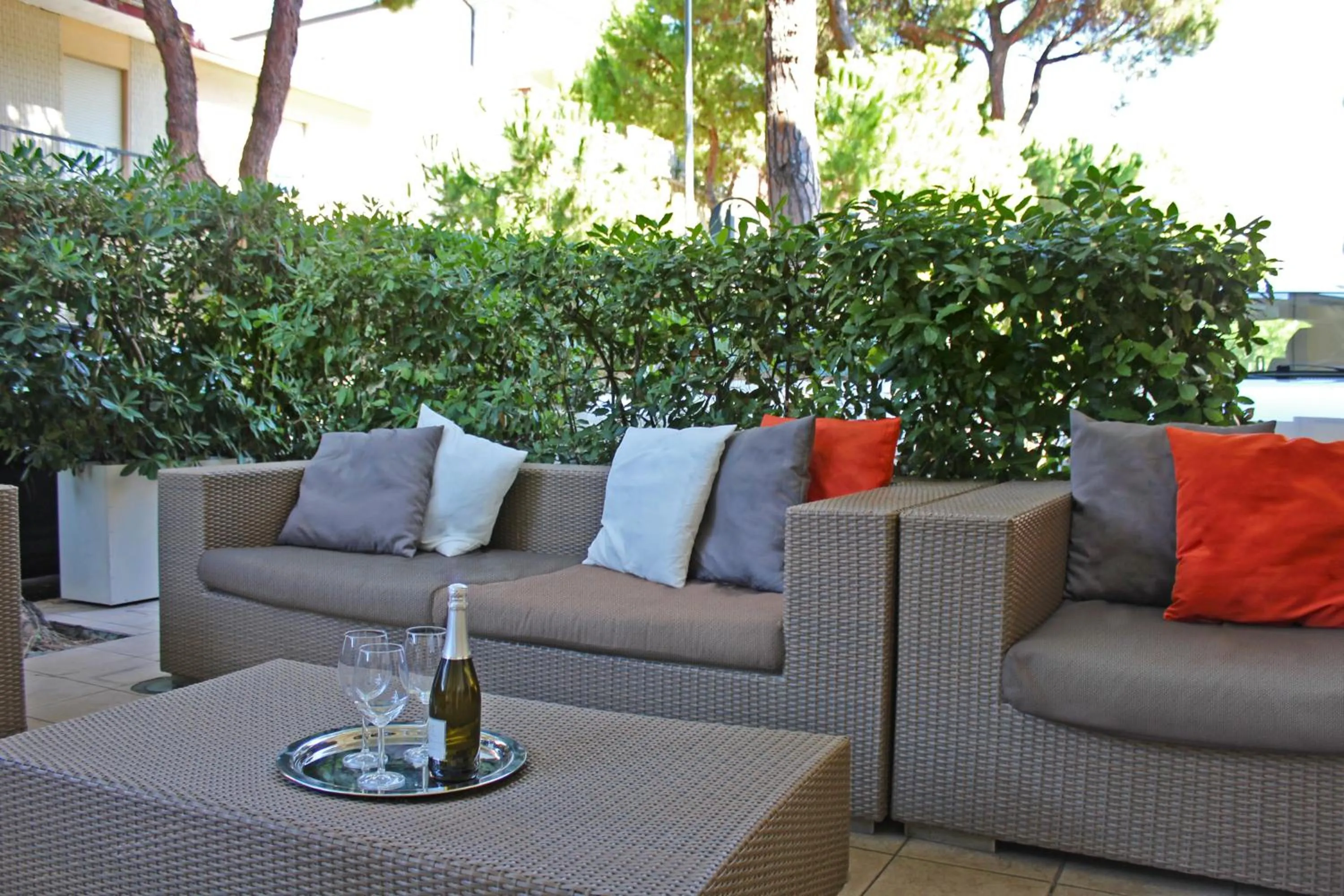 Garden in Hotel New Primula