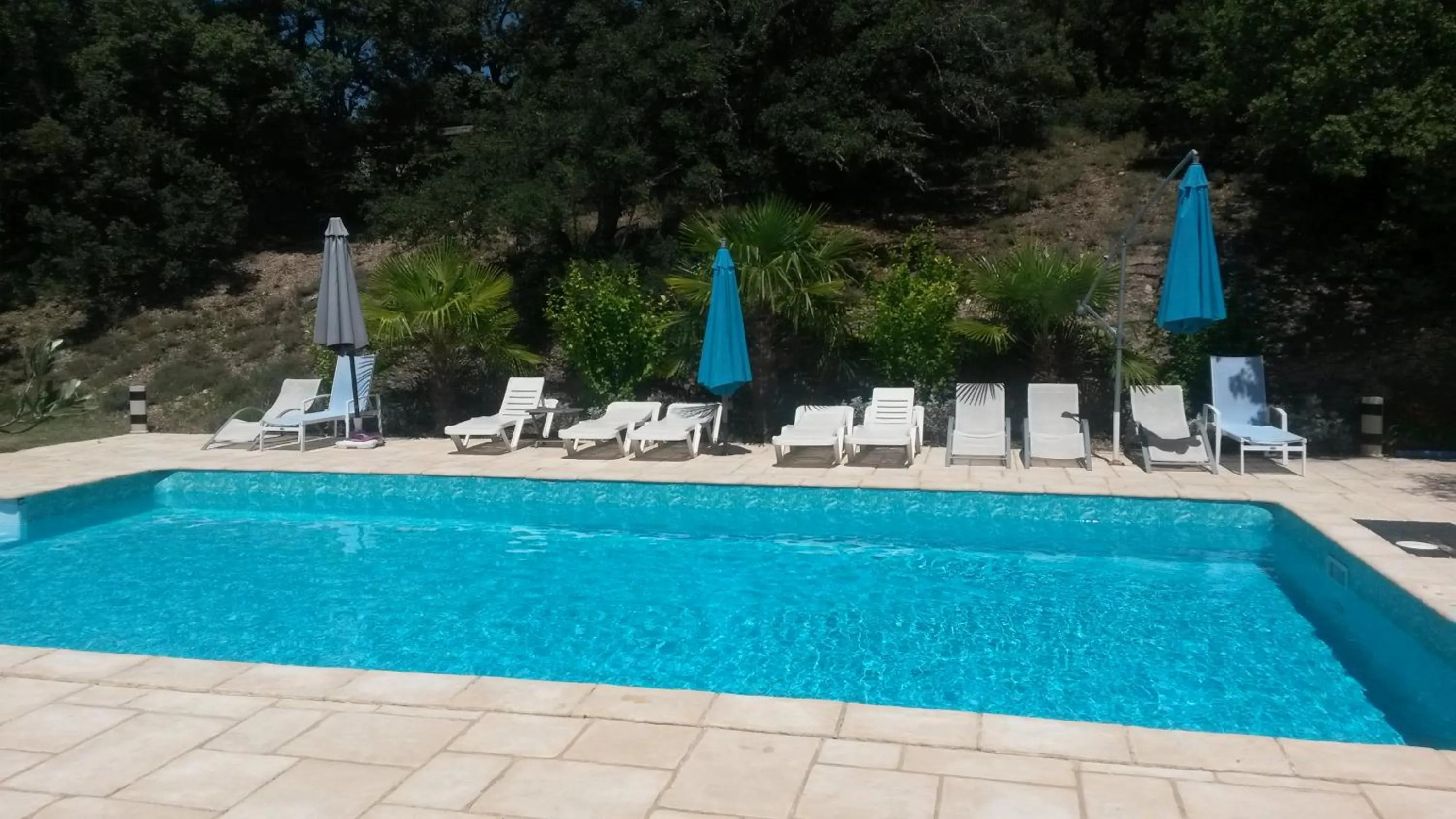 Swimming pool in Ferme de Palumiane - Chambres climatisées