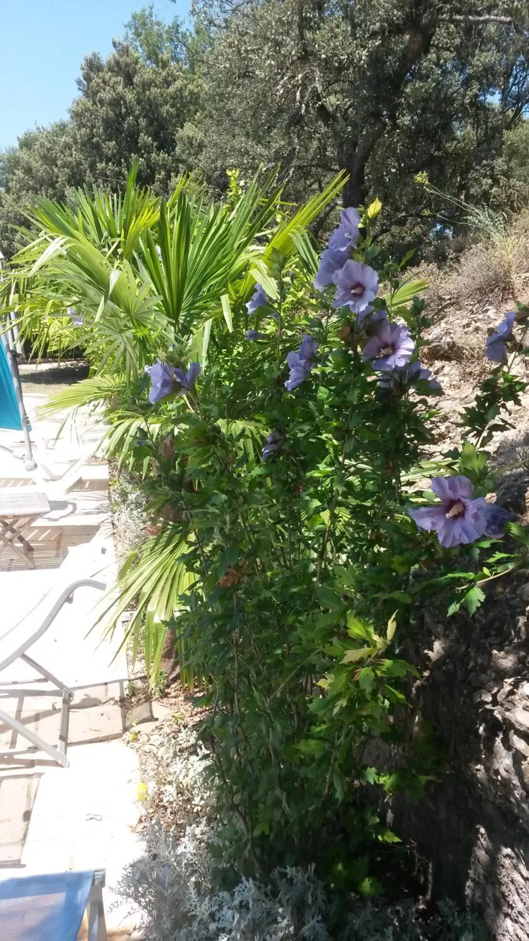 Property building in Ferme de Palumiane - Chambres climatisées