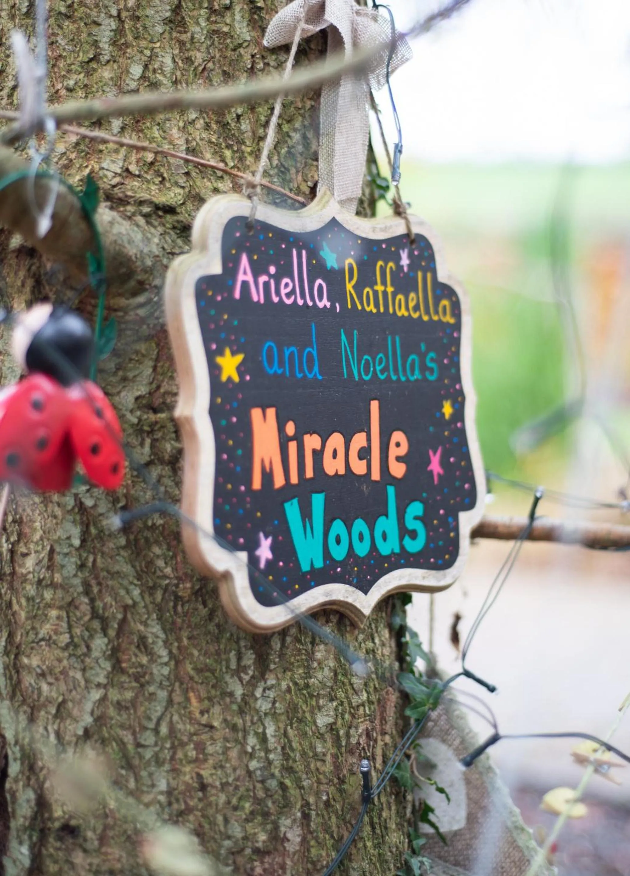 Garden in Blackwell House