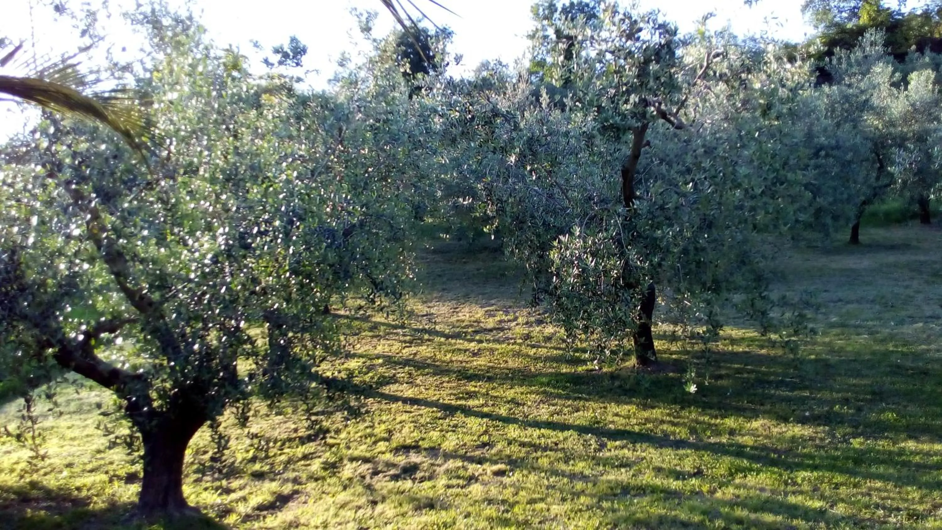 Activities in Bigotti