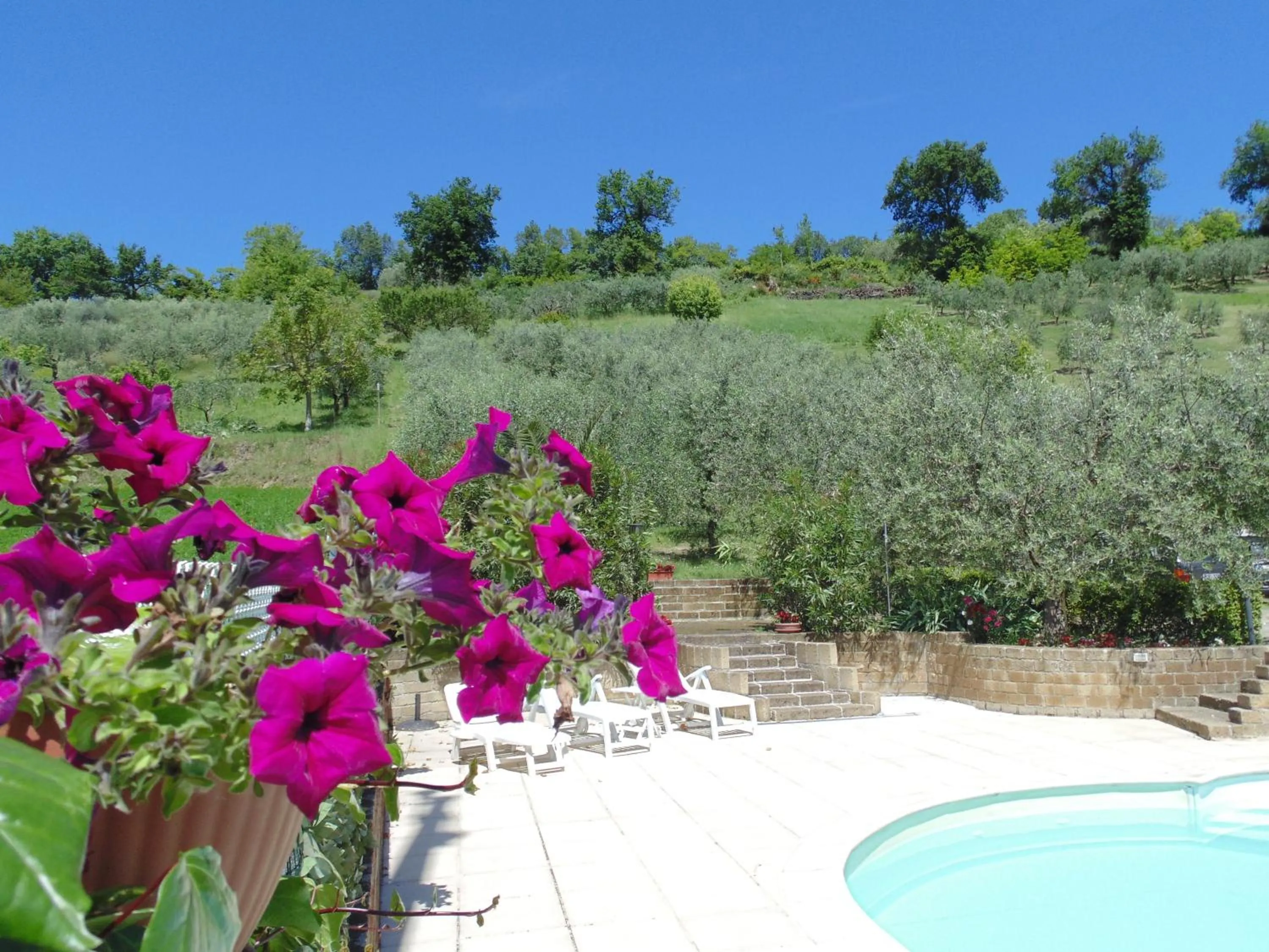 Swimming pool in Bigotti