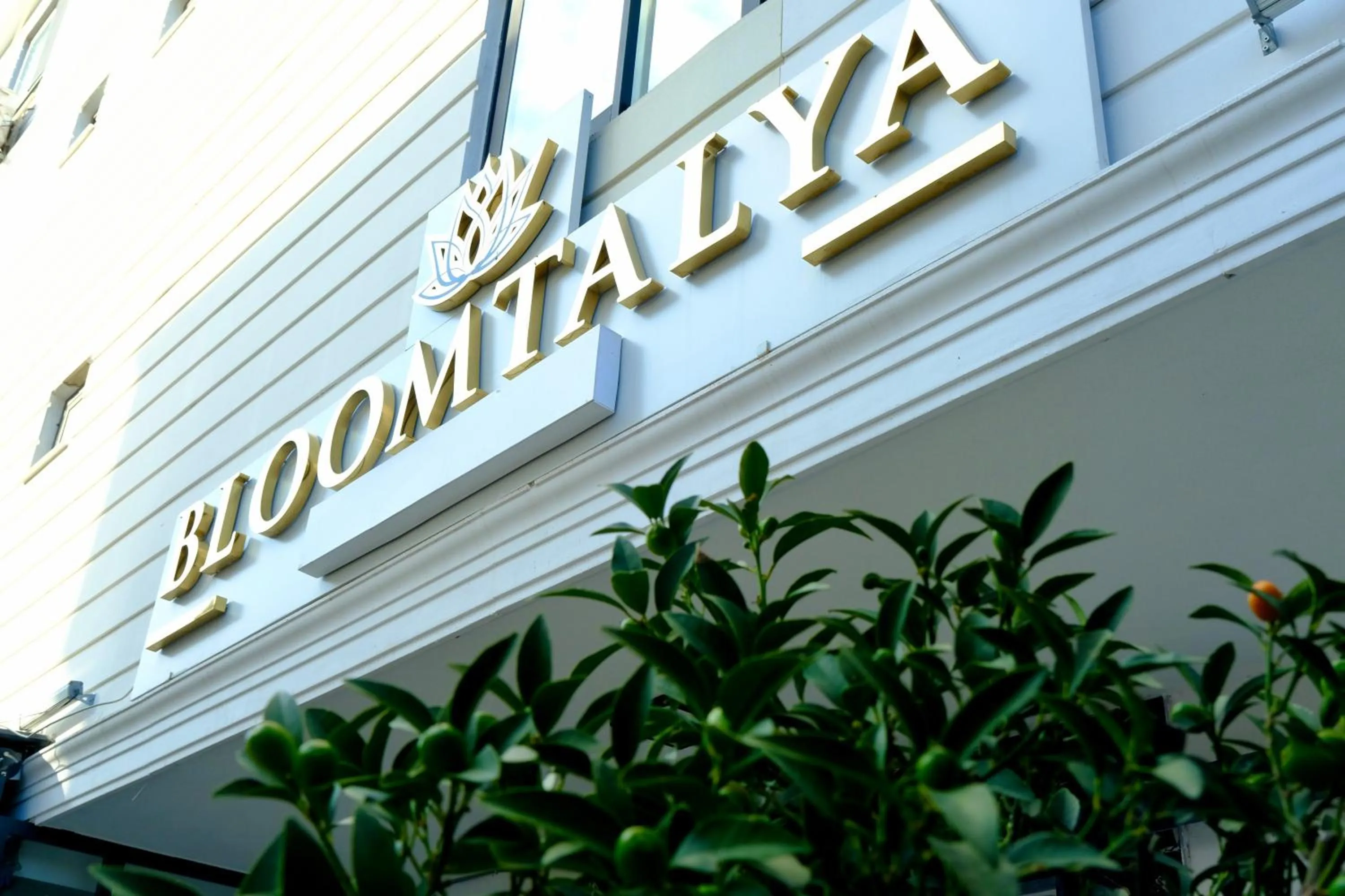 Property logo or sign in Bloomtalya Hotel