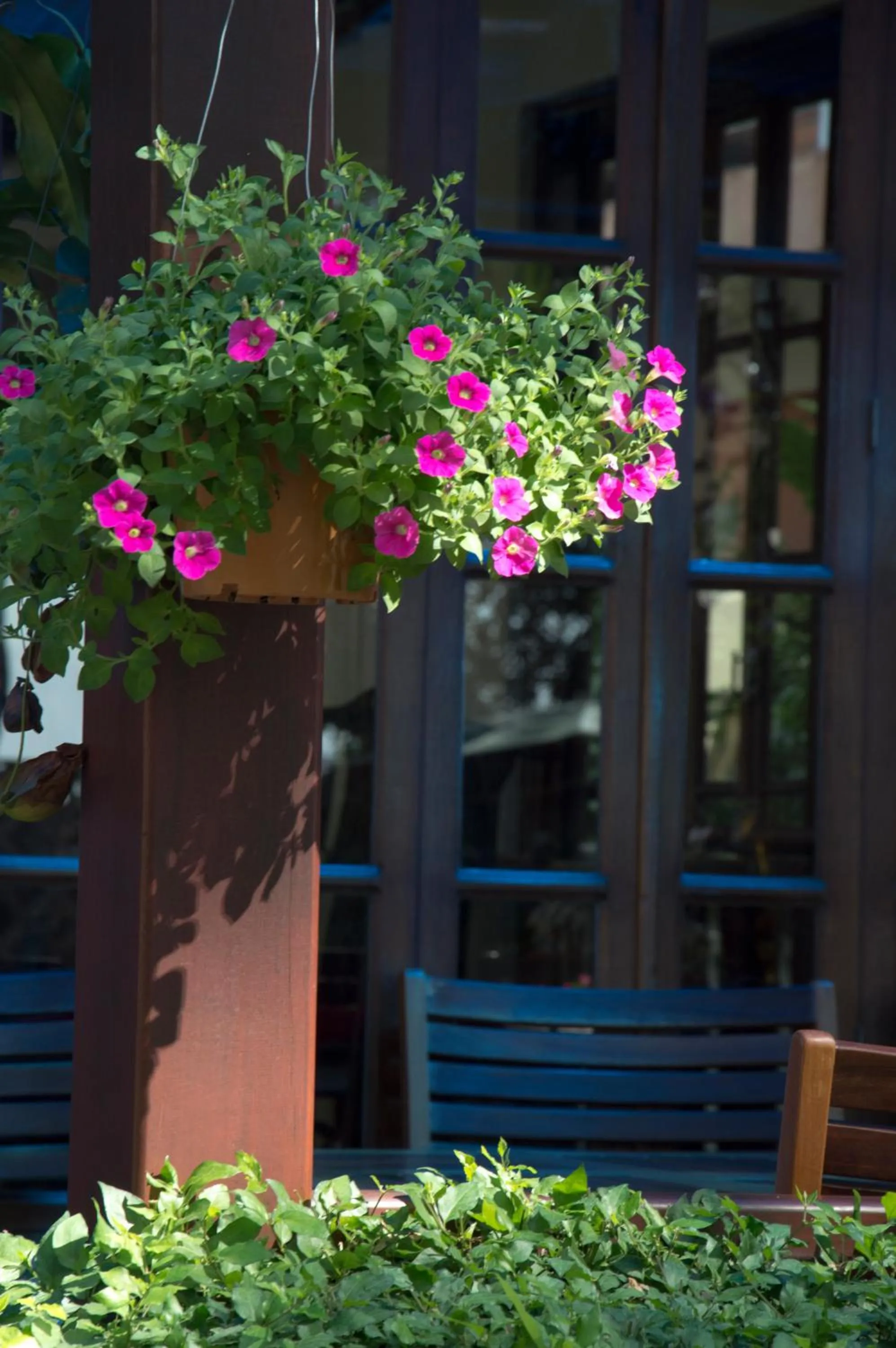 Day in Le Bouton D'or Boutique Hotel