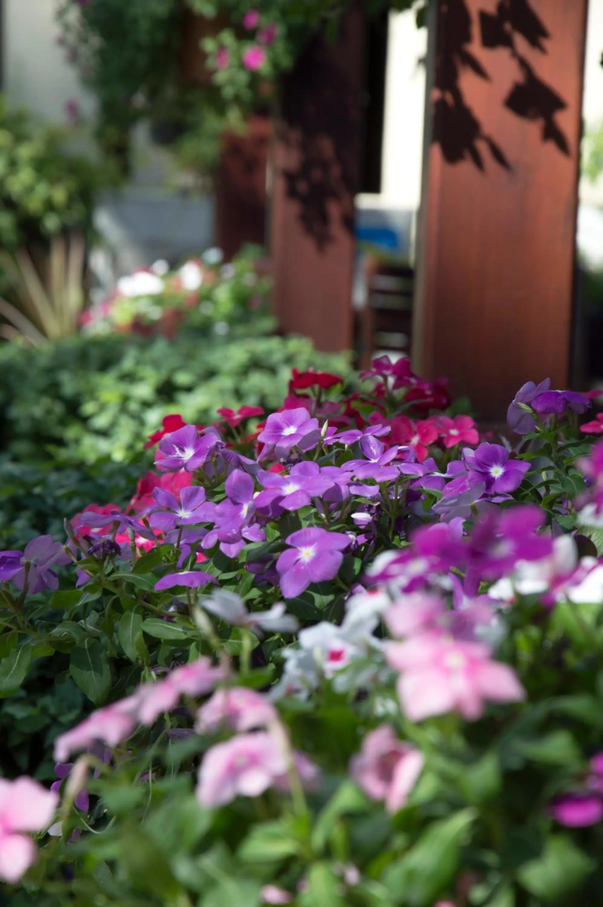 Spring in Le Bouton D'or Boutique Hotel