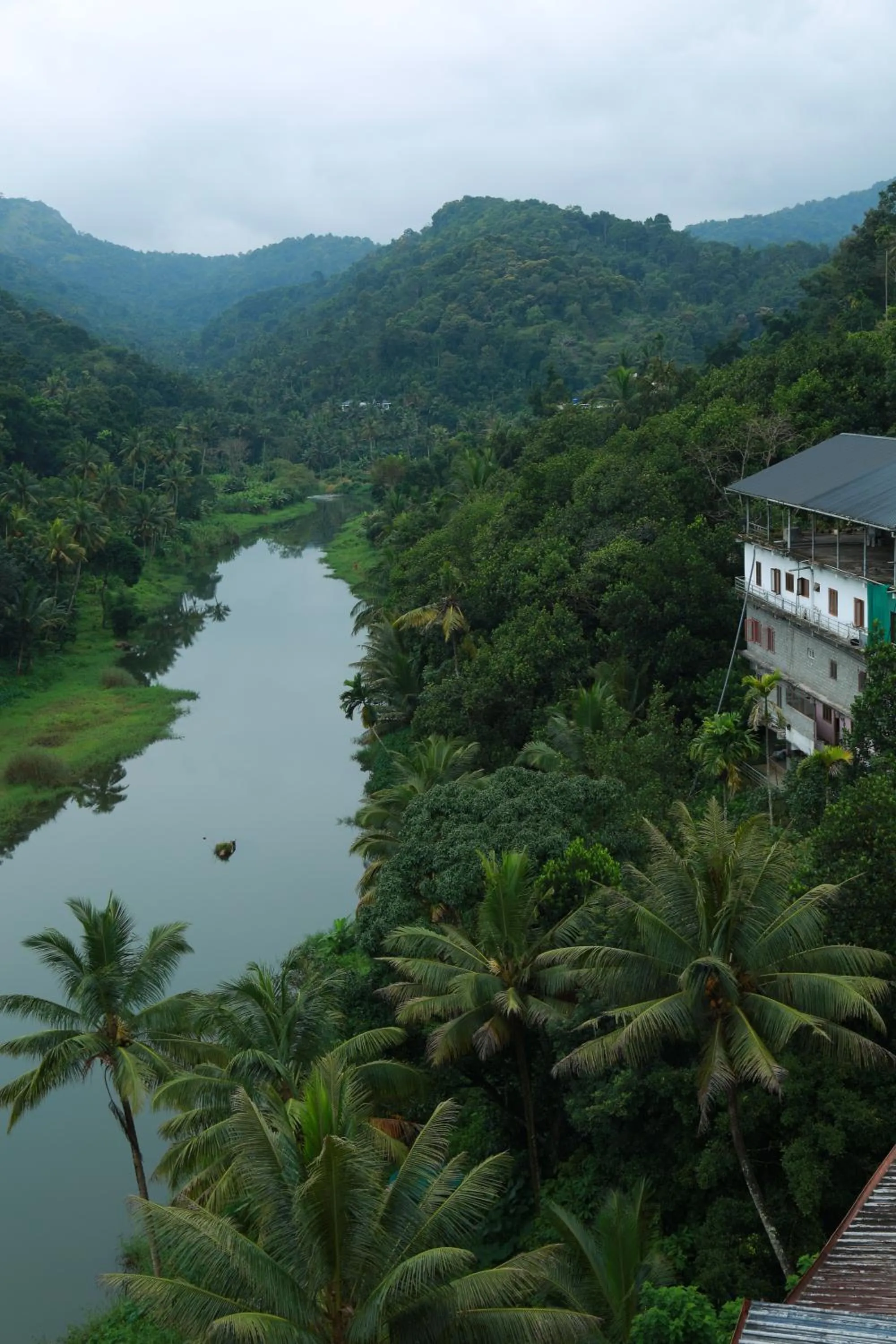 Mountain view in Hotel Idukki Castle