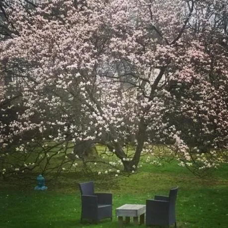 Spring in L'Escarbotine