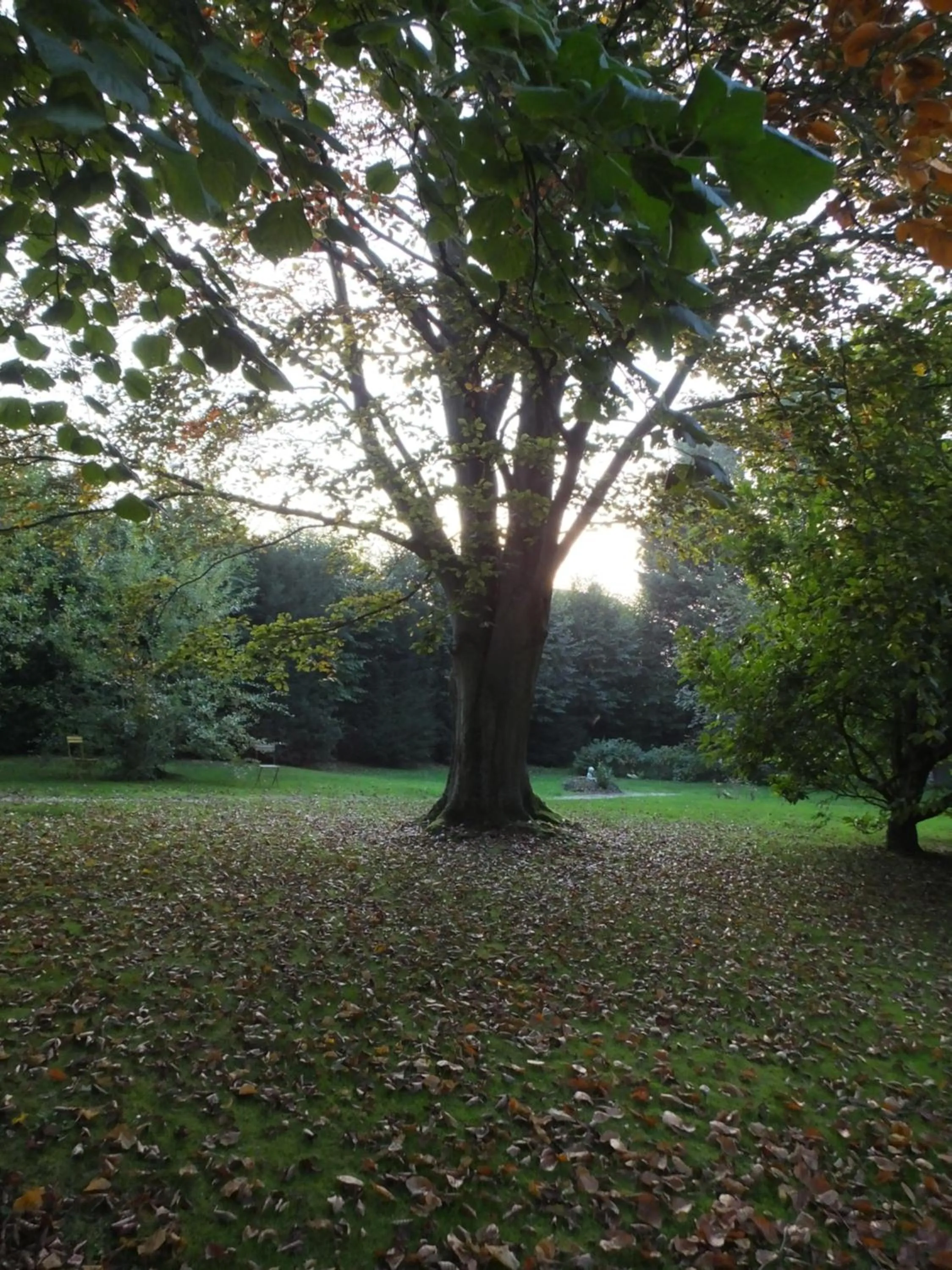 Autumn in L'Escarbotine
