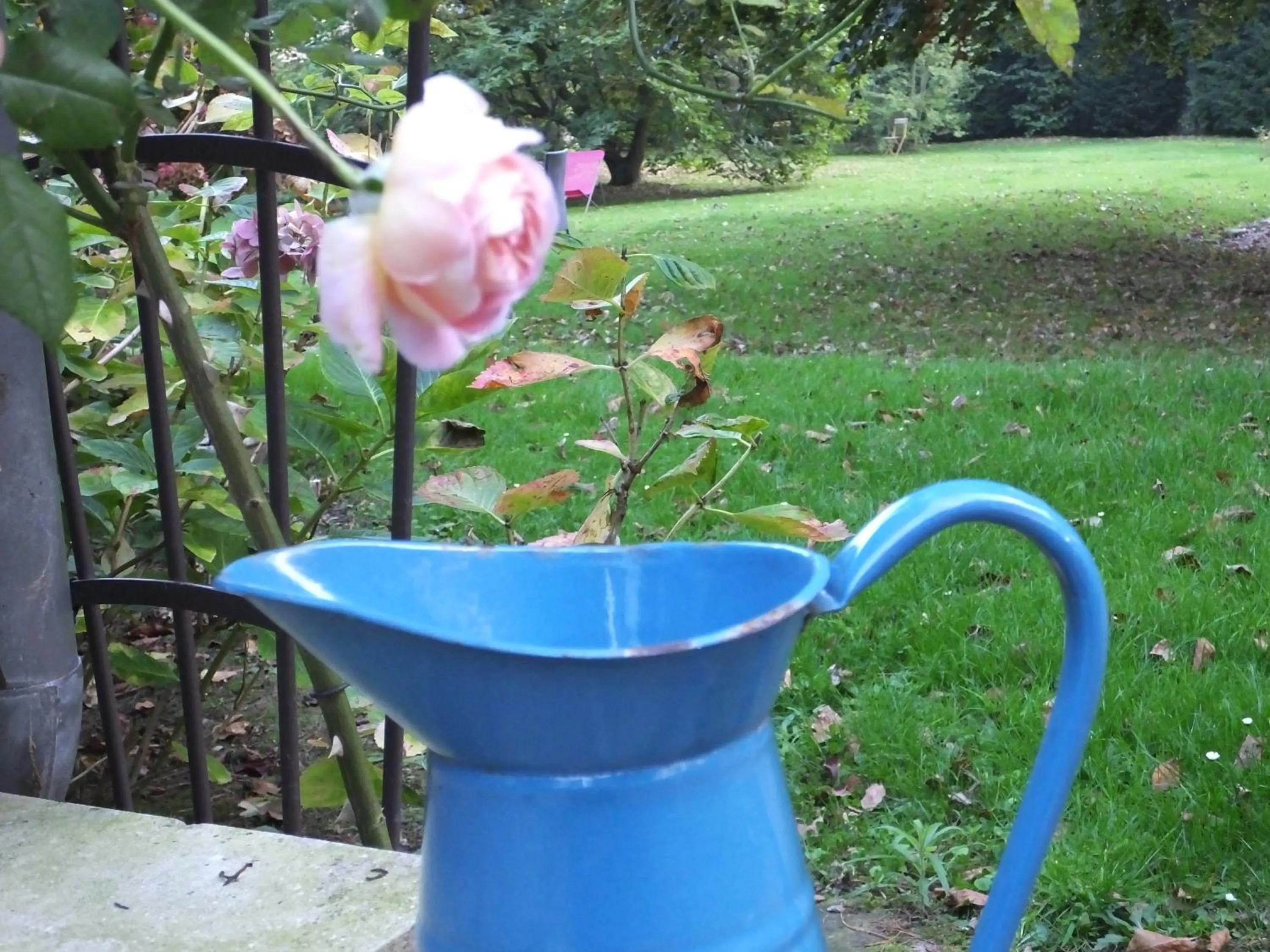 Day in L'Escarbotine