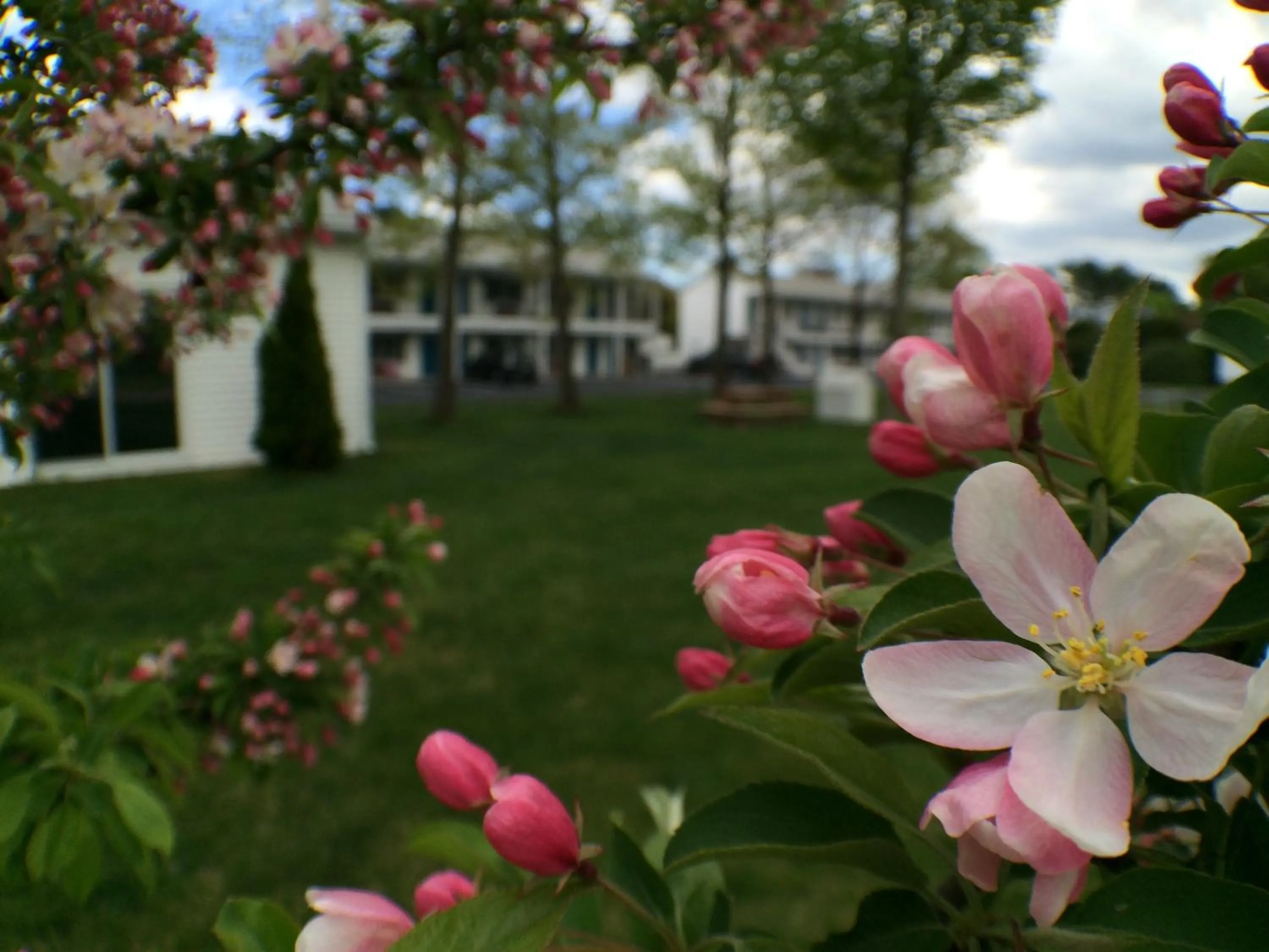 Decorative detail in Ocean Acres Ogunquit