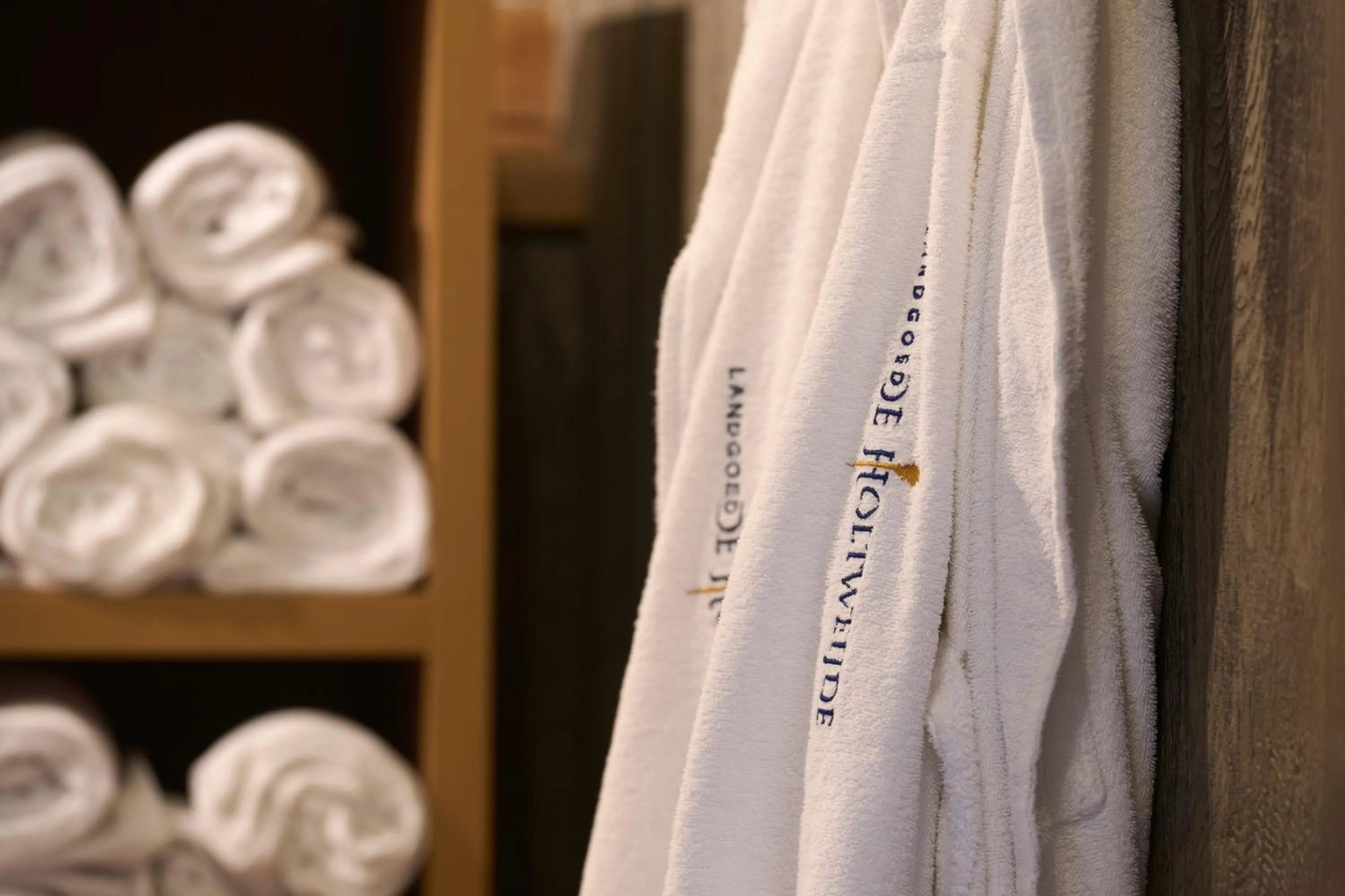 Sauna in Landgoed De Holtweijde