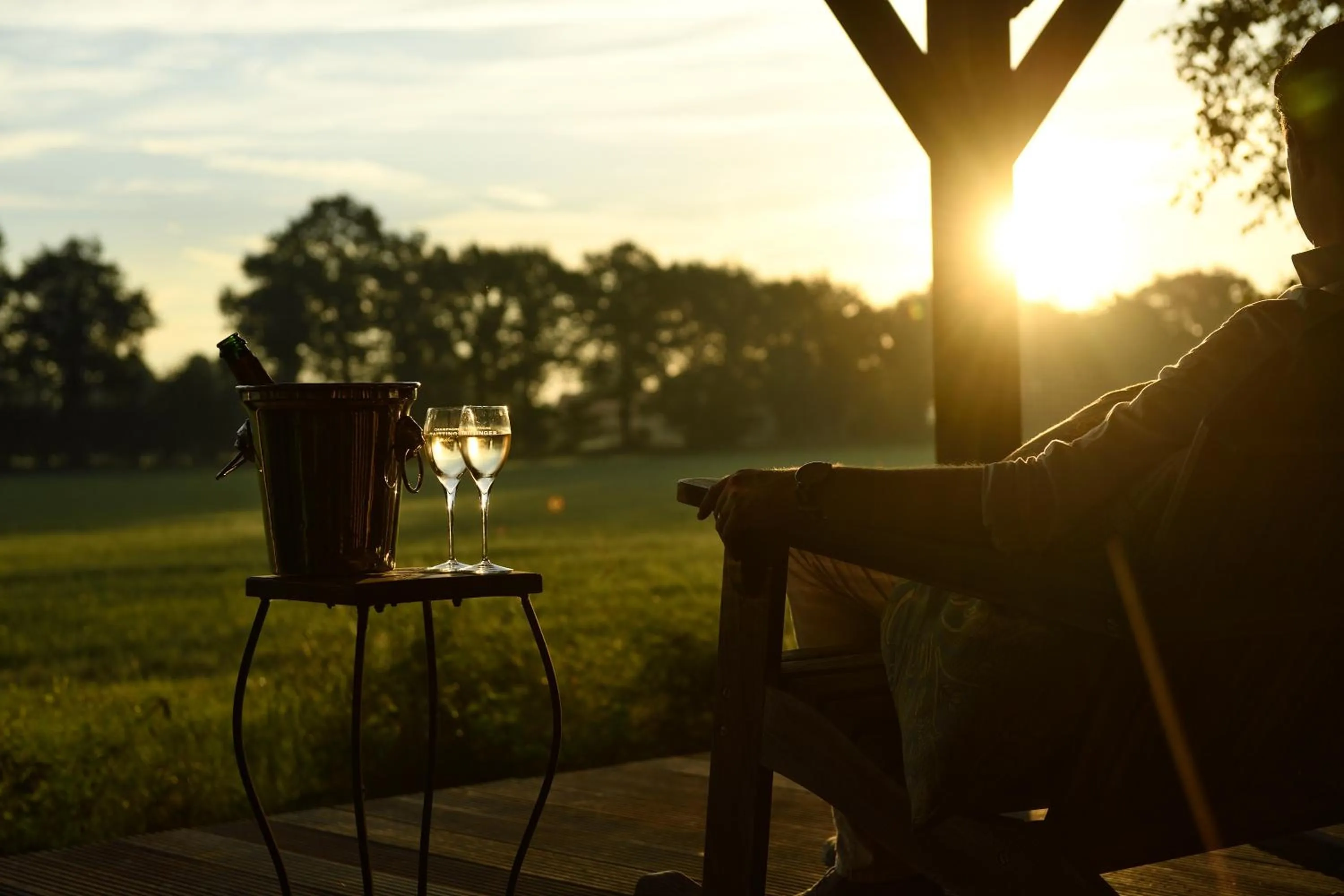 Natural landscape in Landgoed De Holtweijde