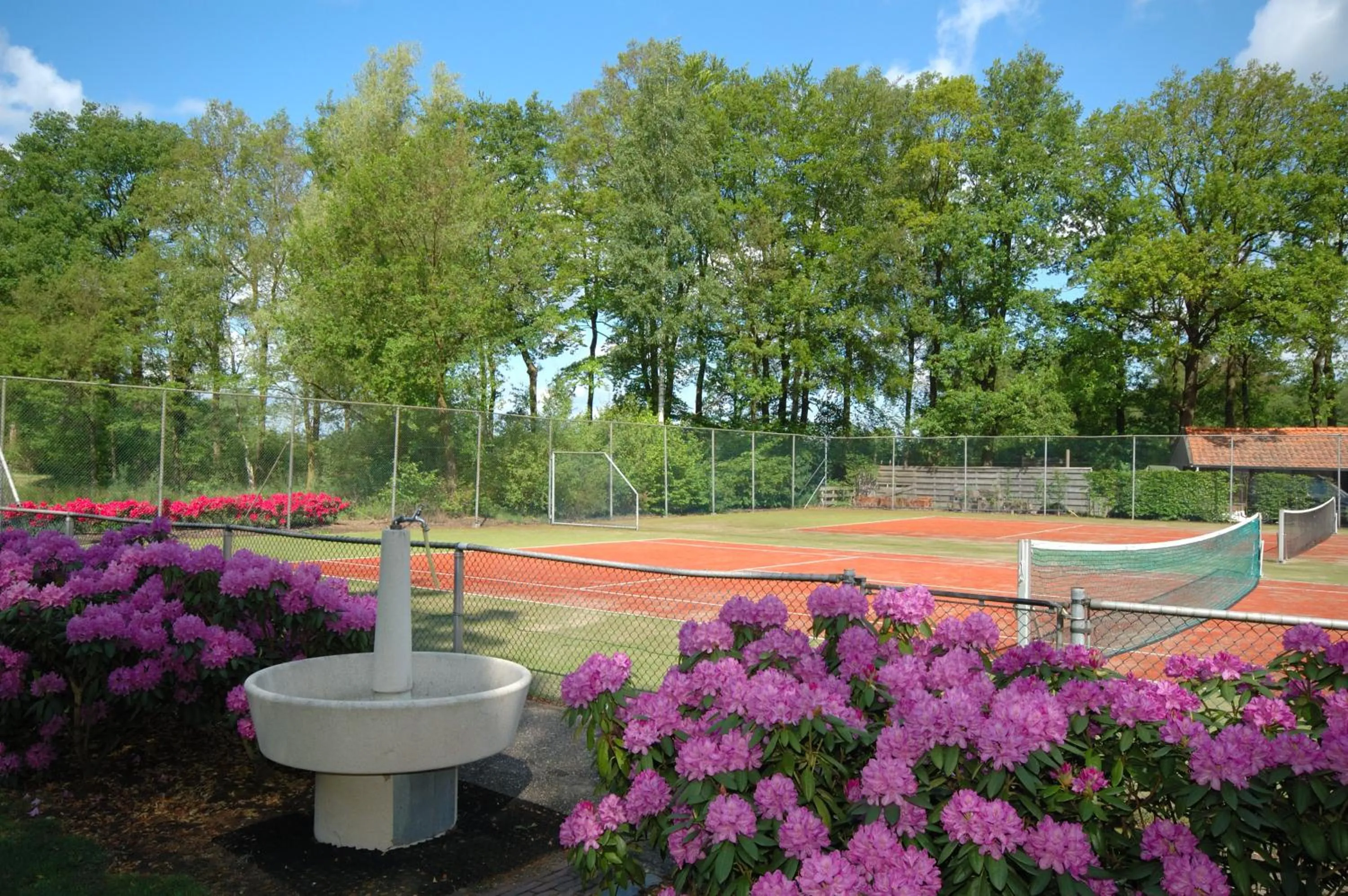 Tennis court in Landgoed De Holtweijde