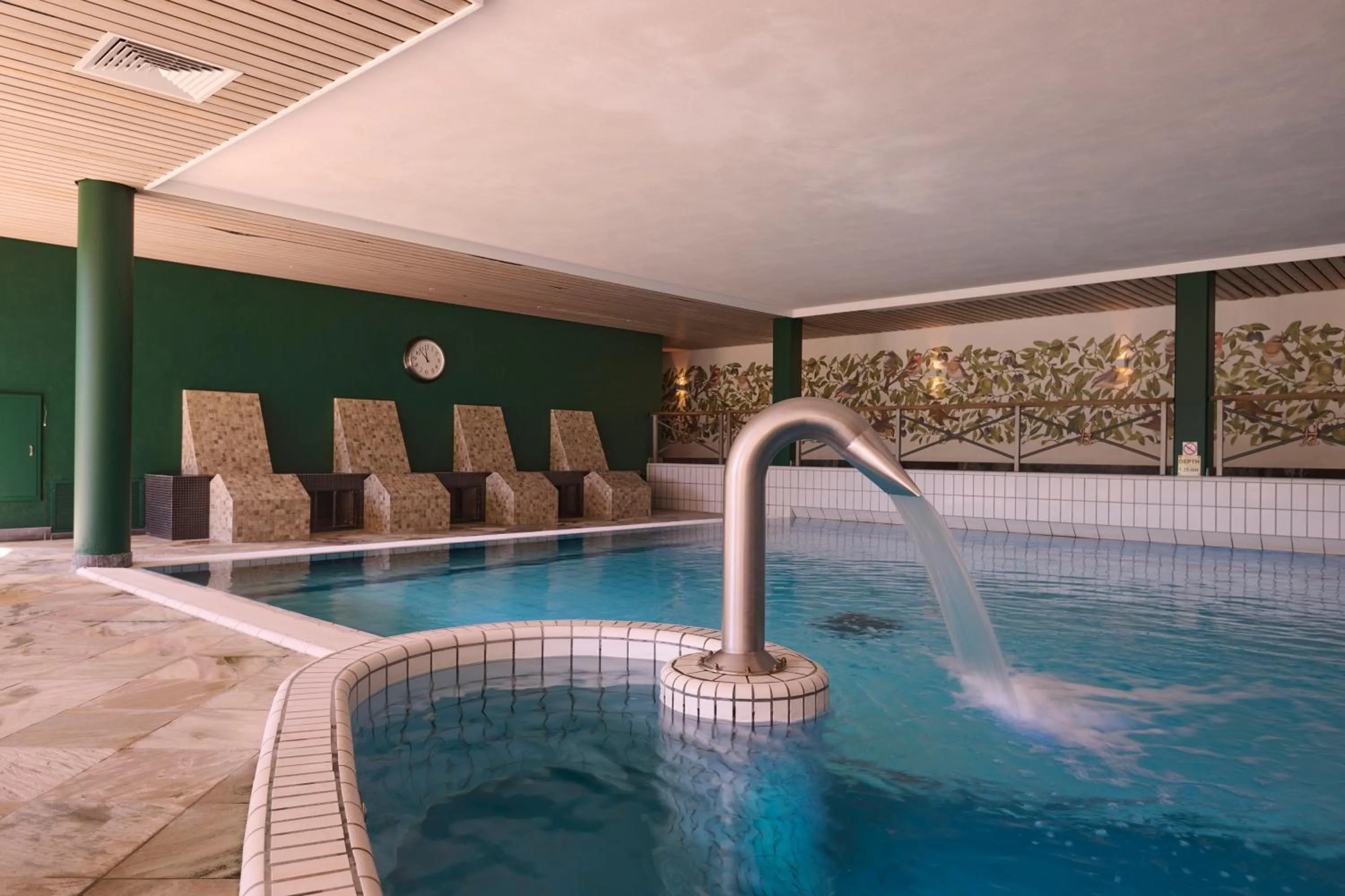 Swimming pool in Landgoed De Holtweijde