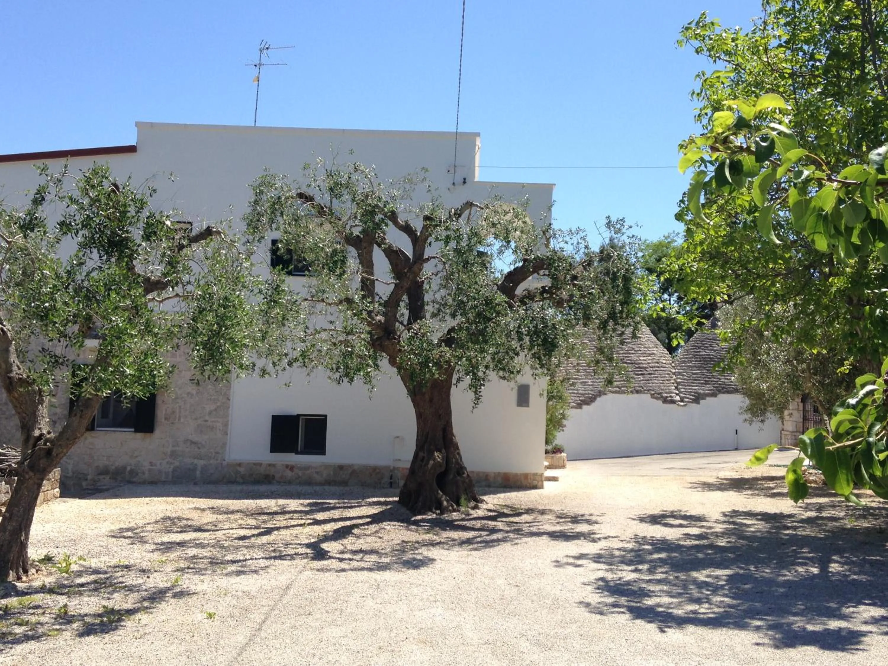 Property building in La Vecchia Tabaccheria B&B