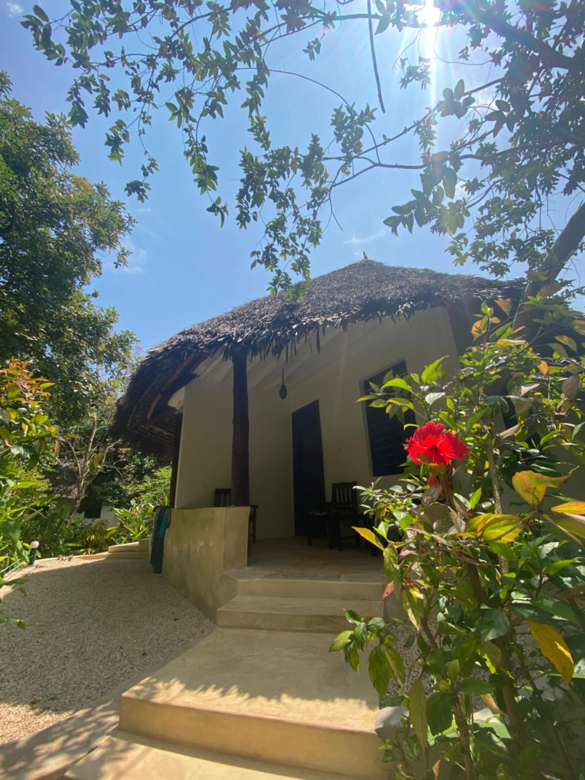 Property building in Mangrove Lodge