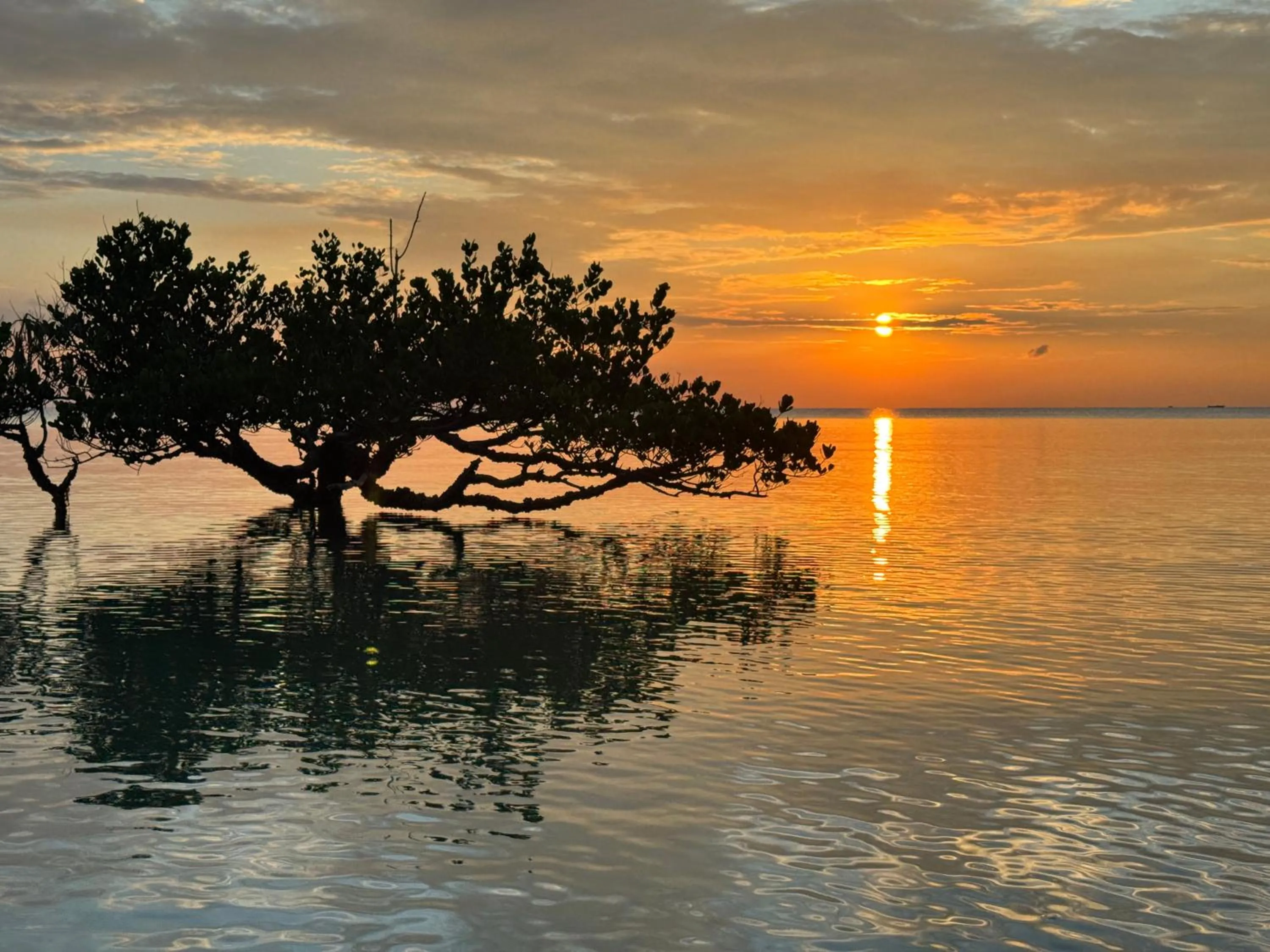 Nearby landmark in Mangrove Lodge