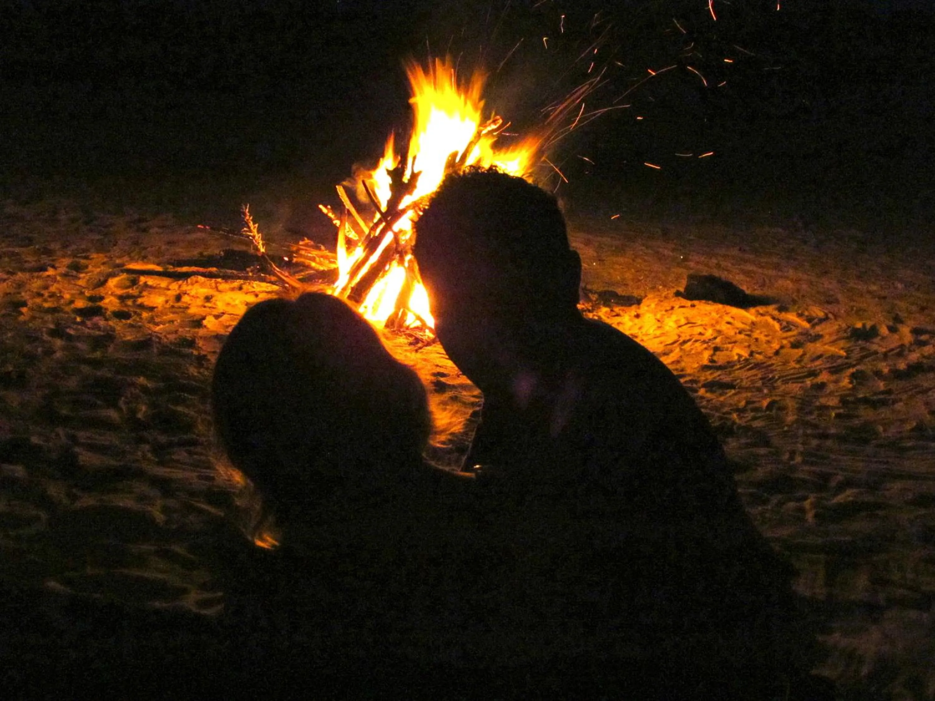 Beach in Mangrove Lodge