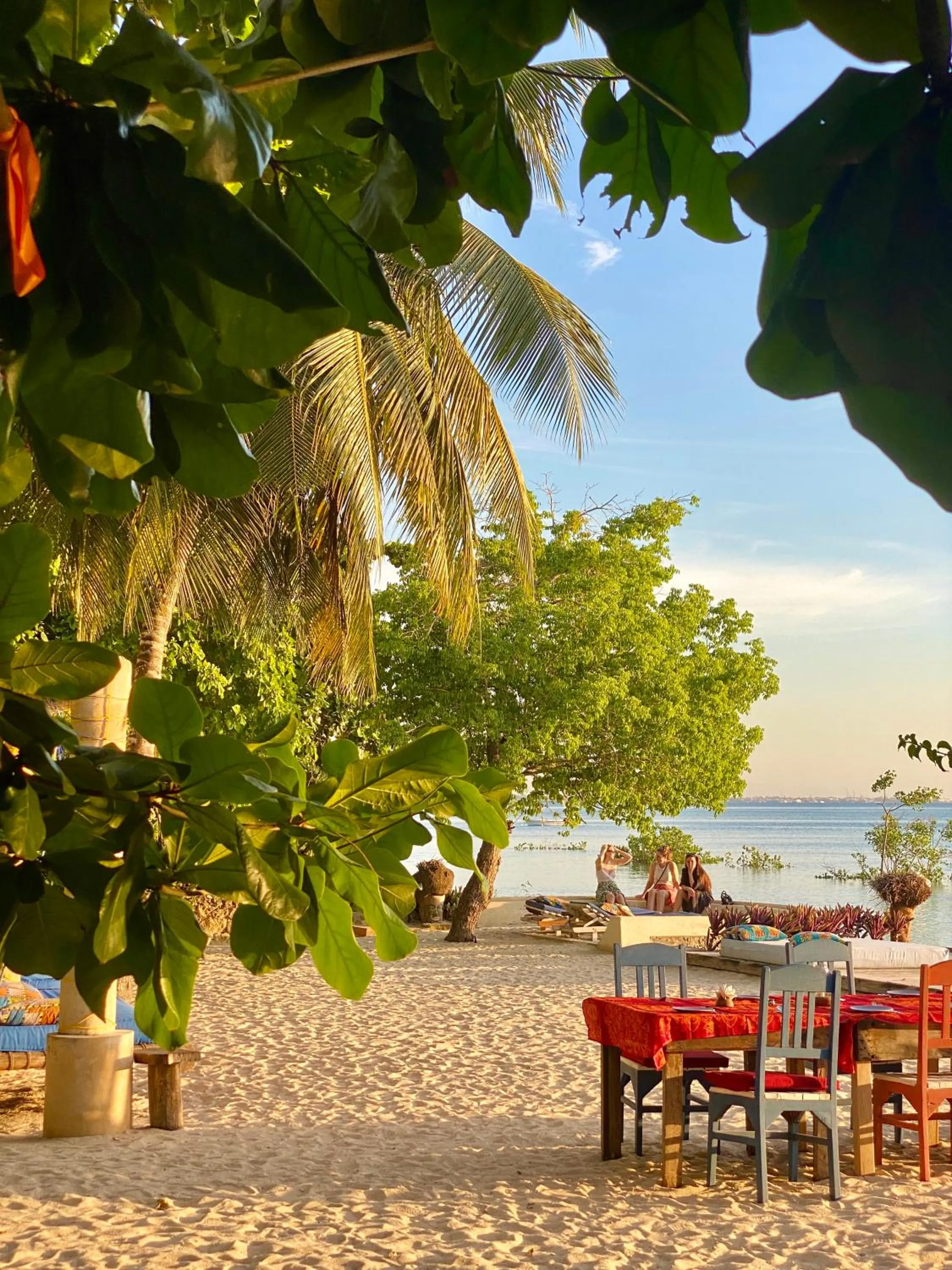 Restaurant/places to eat in Mangrove Lodge